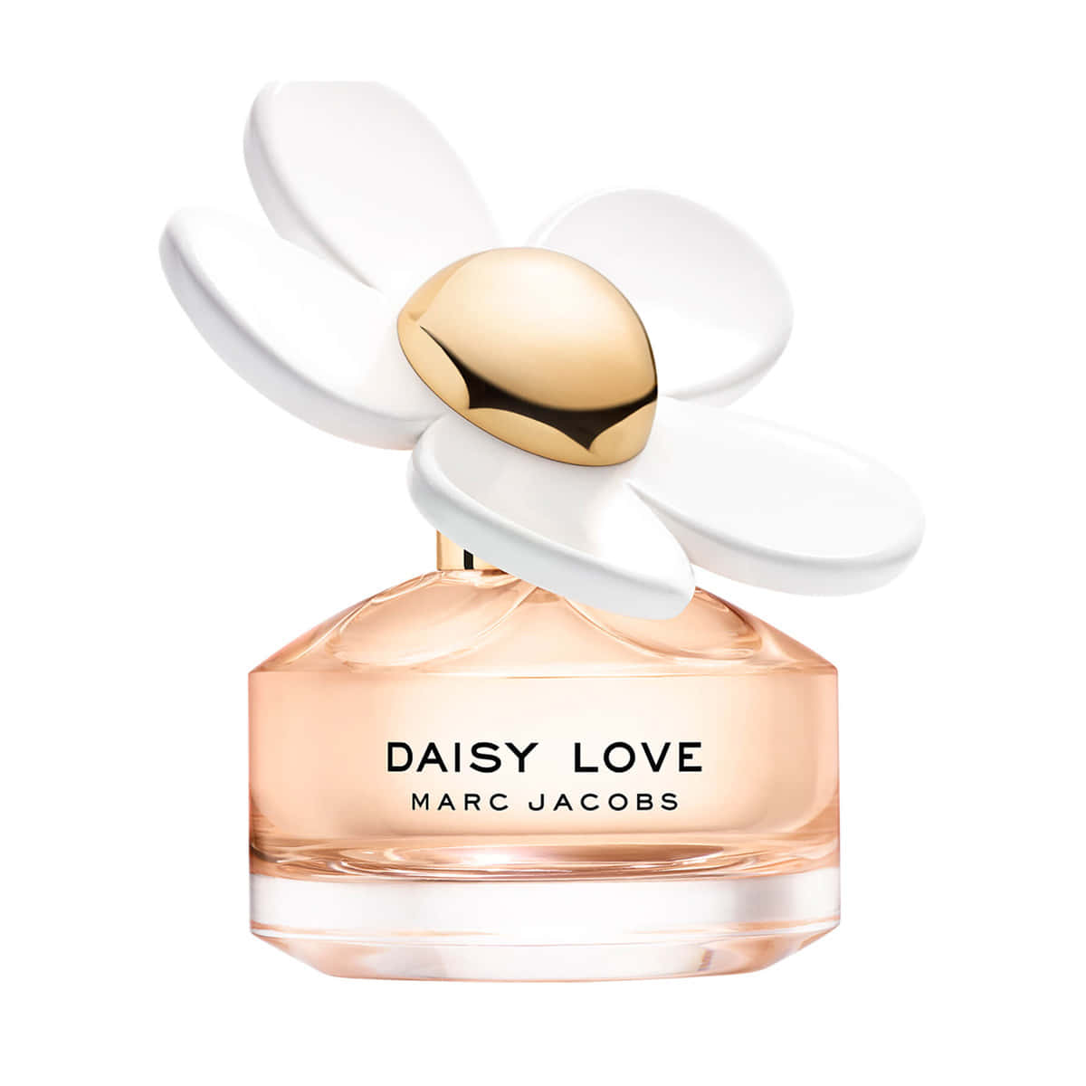 雛菊之戀 by Marc Jacobs 壁紙