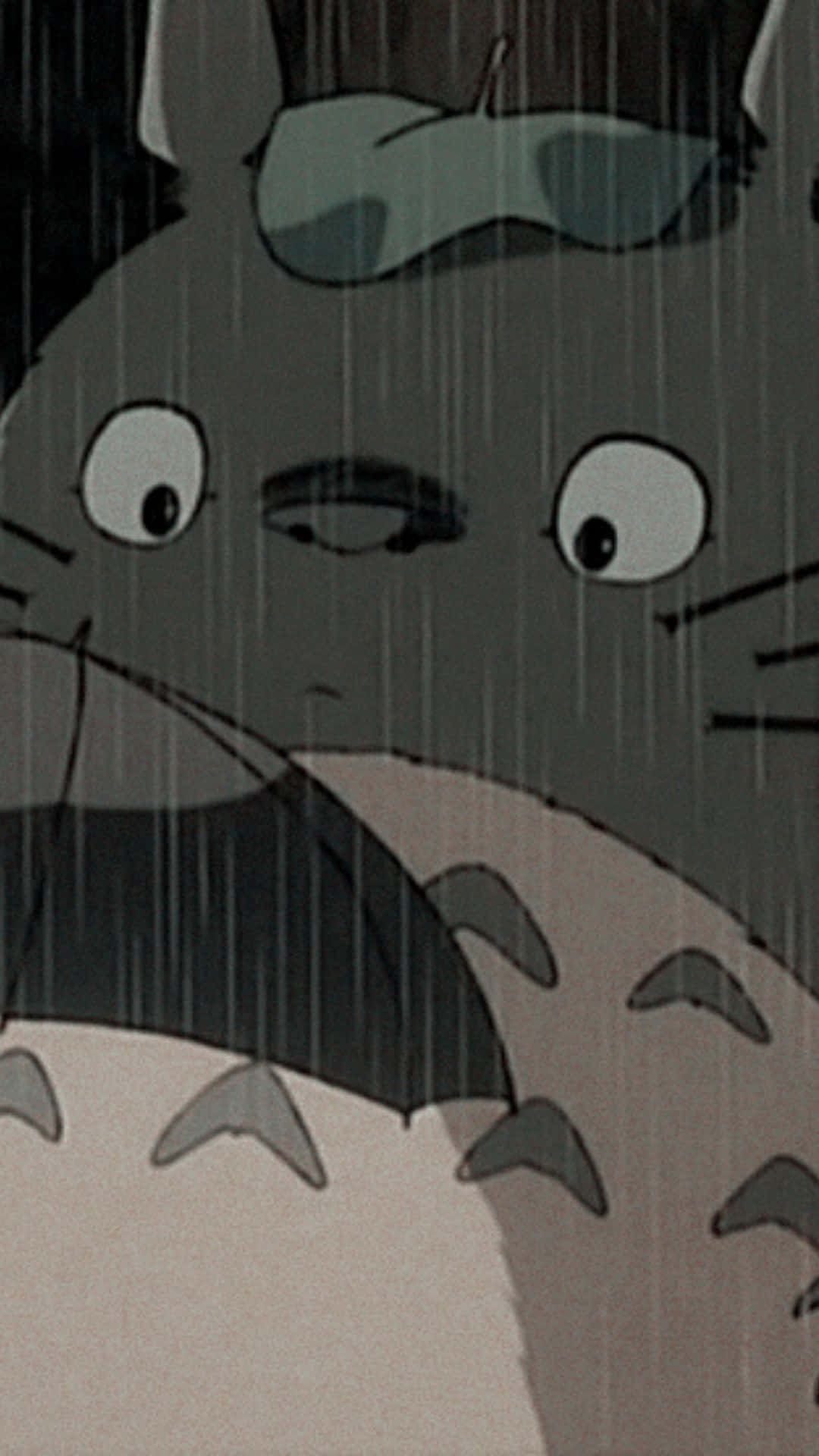 Totoro Aesthetic 桌布 壁紙 — 雨中龍貓的特寫，睜大眼睛戴著圓頂禮帽向上看。