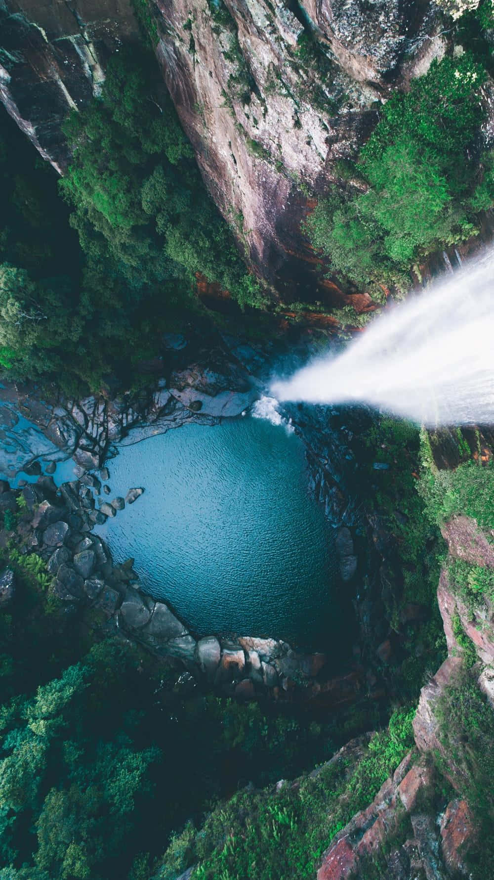 雨林背景 壁紙