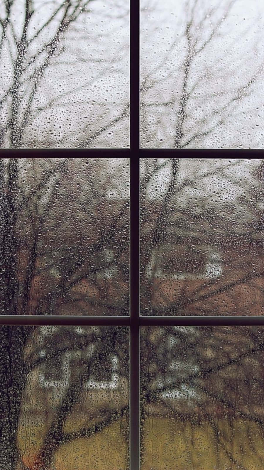 Aesthetic Rain 桌布 壁紙 — 雨滴依附在六格窗上，顯露出光禿禿的冬季樹木，背景是柔和的灰色天空。