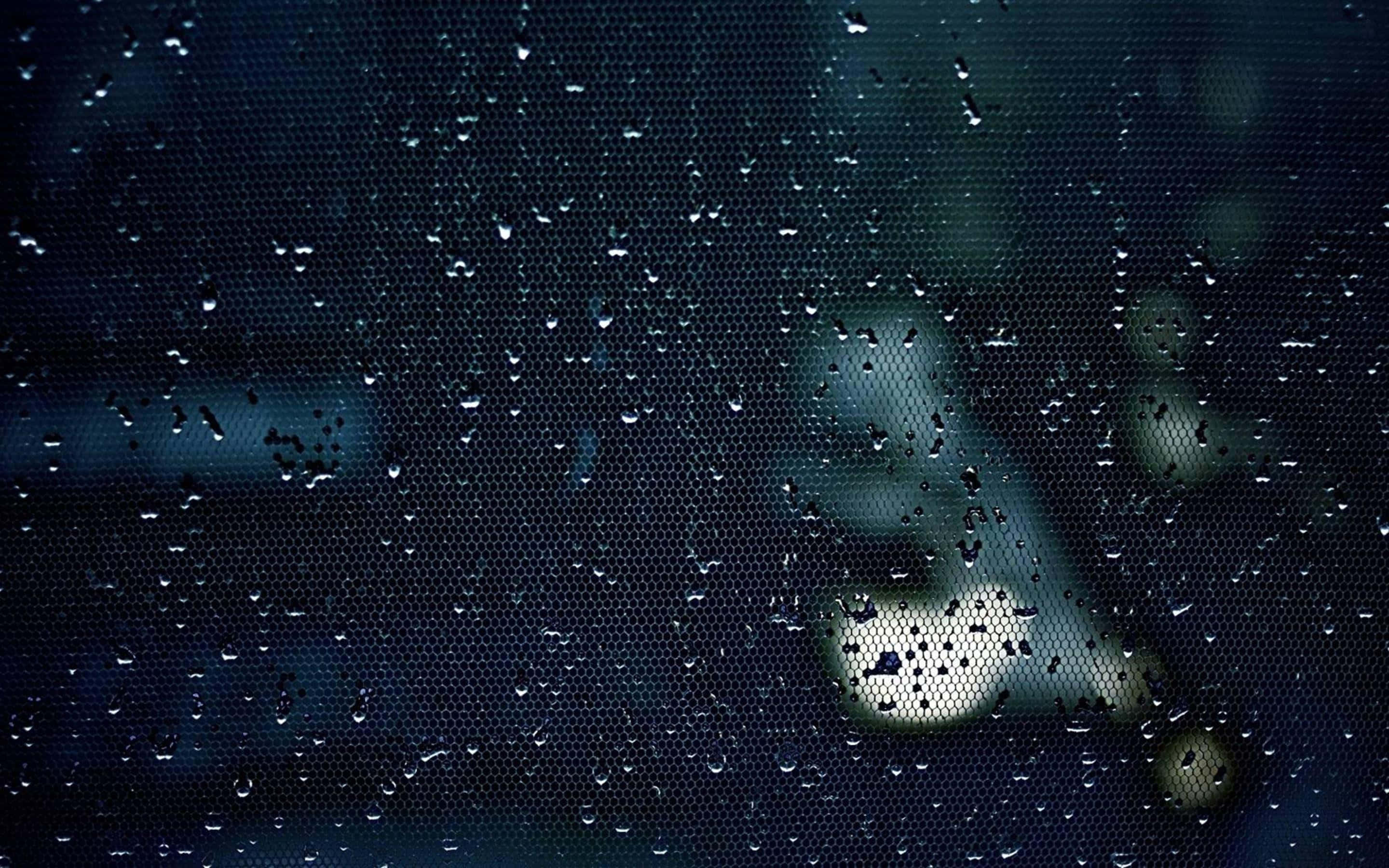 Focus 桌布 壁紙 — 雨滴依附在深色網格螢幕上，模糊的城市燈光在背後微弱地發光。