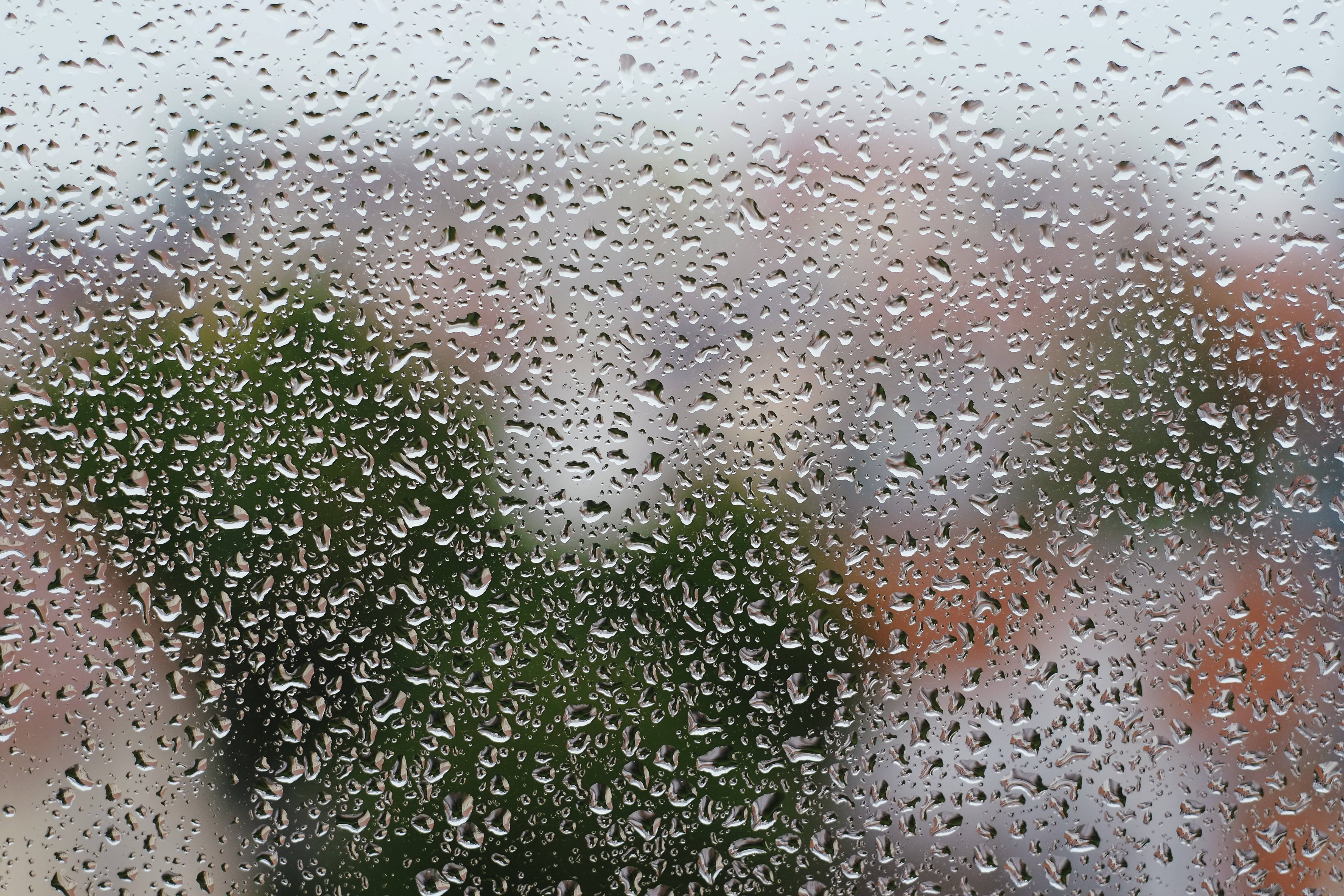 下雨 桌布 壁紙 — 雨滴依附在玻璃窗上，模糊了外面綠色樹葉和暖色調建築物的柔和焦點景色。