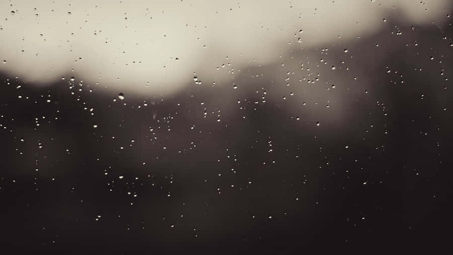 Aesthetic Tumblr Desktop 桌布 壁紙 — 雨滴依附在玻璃窗上，模糊的灰色天空和樹木的暗色剪影在背後逐漸化為柔焦。