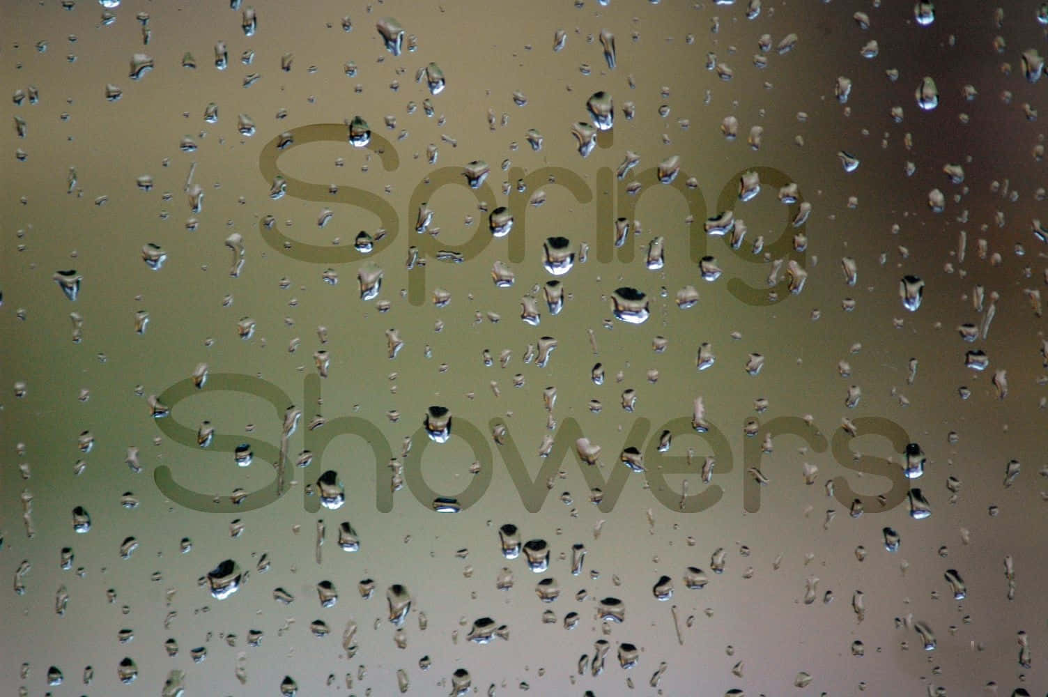 Spring Showers 桌布 壁紙 — 雨滴依附在玻璃窗上，背後「Spring Showers」的字樣柔和地模糊。