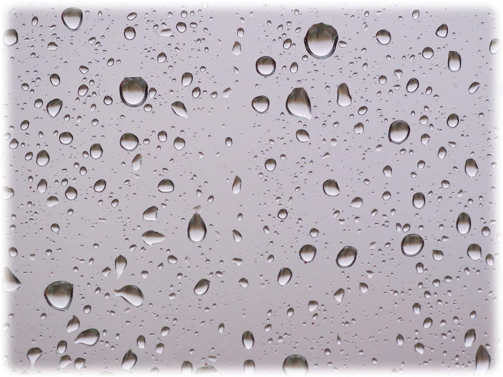 Rain Drops 桌布 壁紙 — 雨滴依附在玻璃表面，反射出柔和的灰色天空，營造出寧靜、霧濛濛的氛圍。