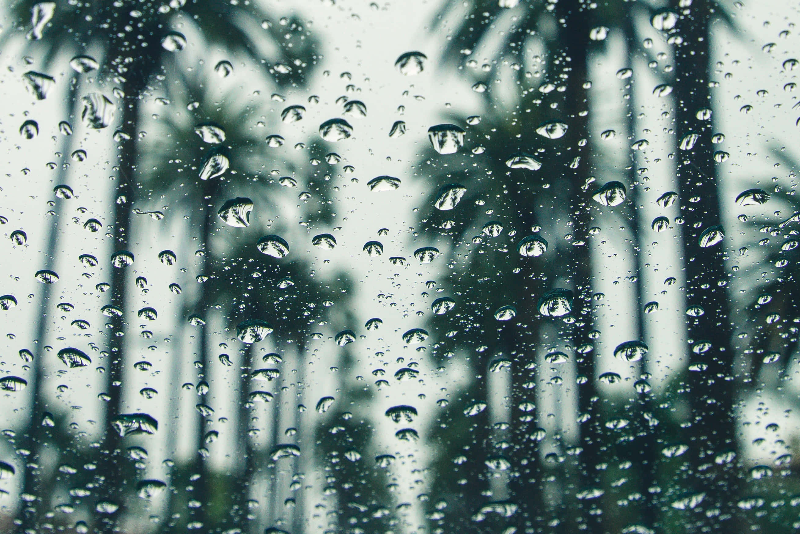 下雨 桌布 壁紙 — 雨滴依附在窗戶上，顯露出柔和綠色和灰色調中模糊的棕櫚樹。