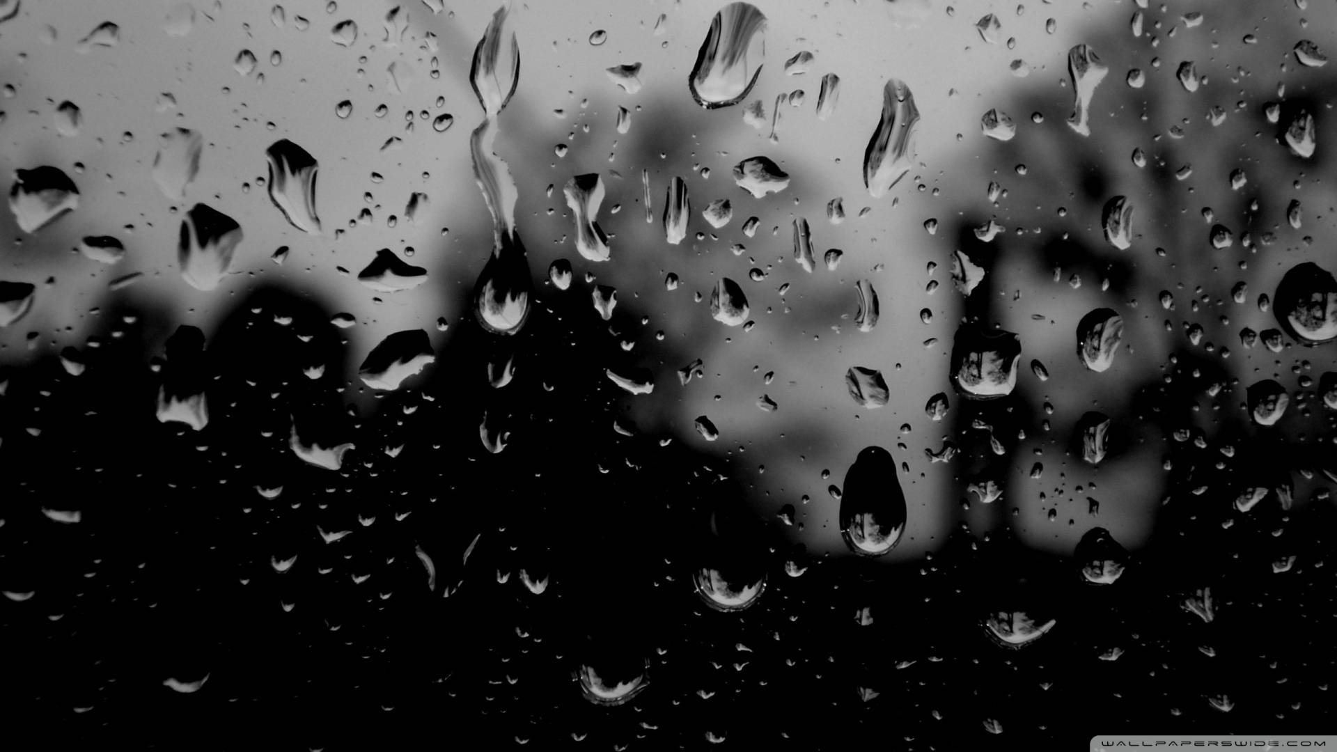 憂鬱 桌布 壁紙 — 雨滴依附在窗玻璃上，將單色的戶外場景模糊成柔和的剪影。