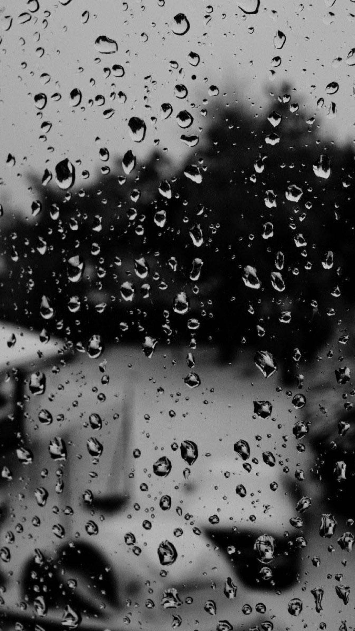 桌布 壁紙 — 雨滴依附在窗玻璃上，模糊了外面樹木和汽車的灰階景色。