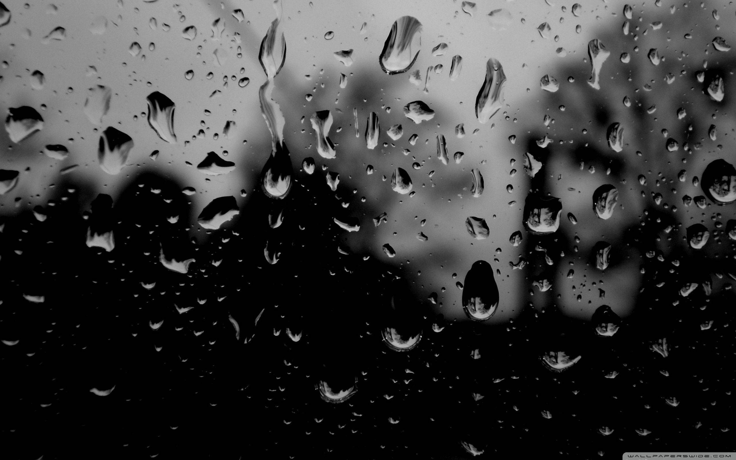 Raining 桌布 壁紙 — 雨滴依附在窗玻璃上，模糊了灰色天空下樹木的黑暗輪廓。