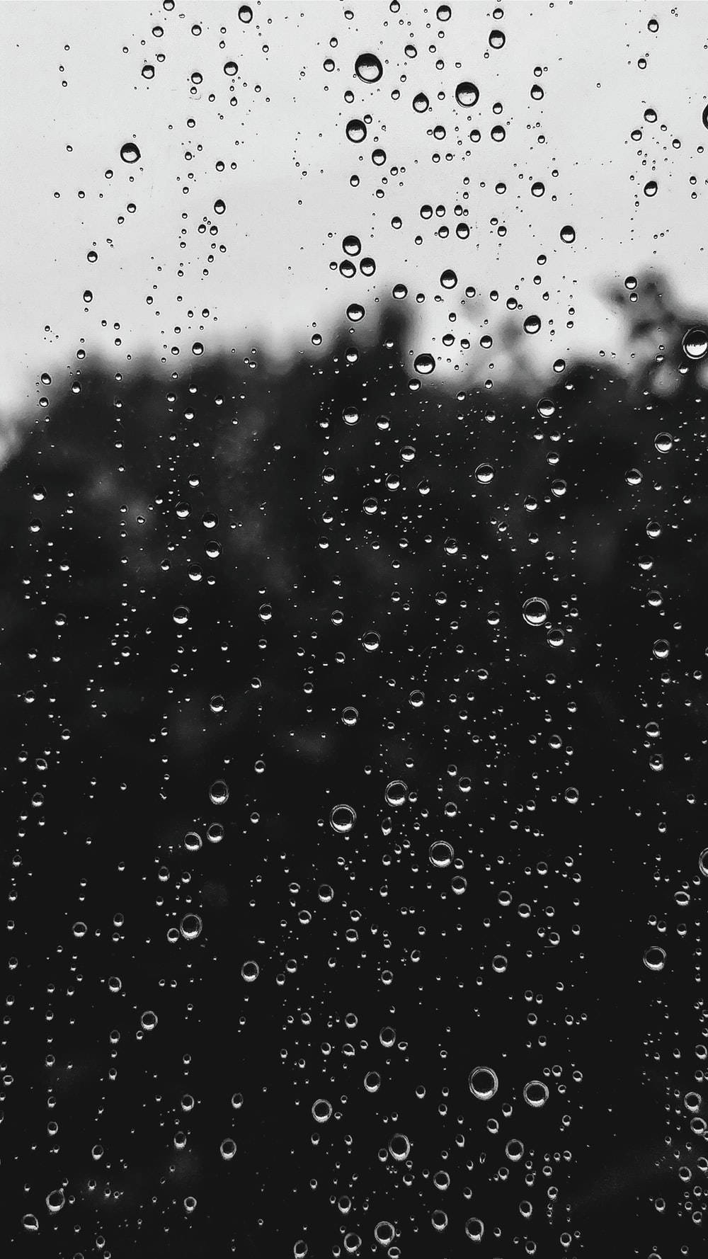 Raining 桌布 壁紙 — 雨滴依附在窗玻璃上，顯露出單色灰色天空下模糊的暗色樹木。