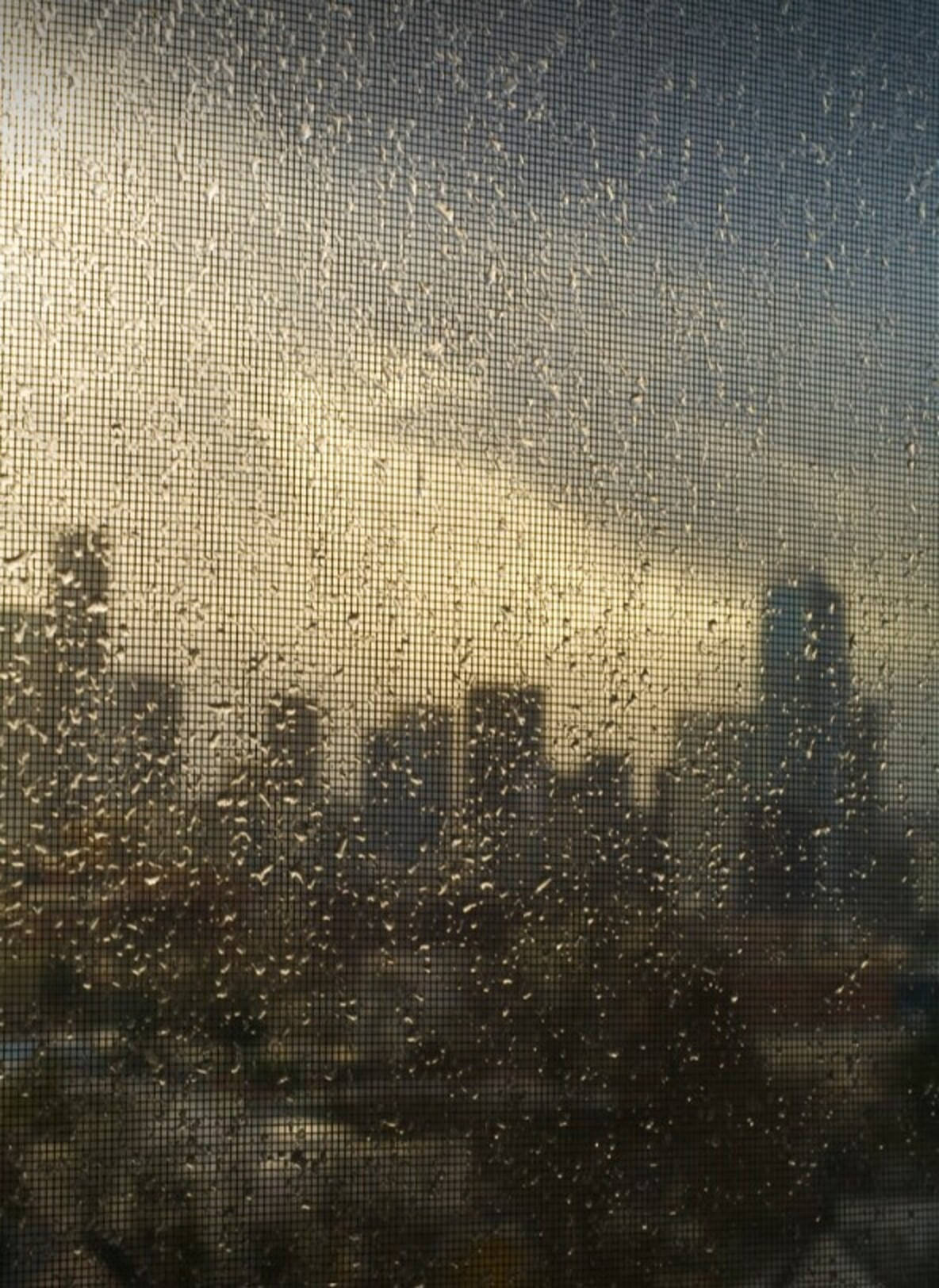 Rainy Day 桌布 壁紙 — 雨滴依附在螢幕上，朦朧的城市天際線在黃金時段的光線中溫暖地發光。