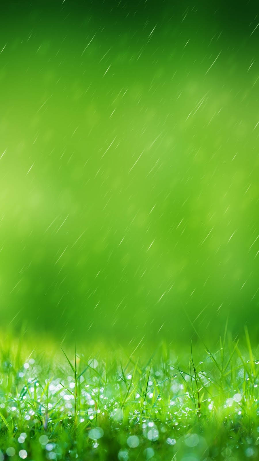 Edge 桌布 壁紙 — 雨滴劃過一片朝露輕吻的翠綠草地，在柔和日光下閃爍。