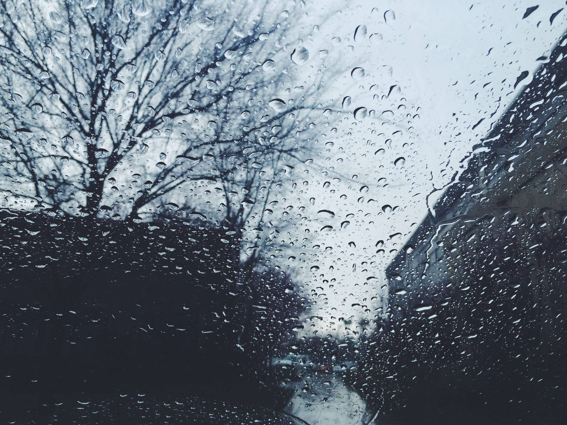 加州 桌布 壁紙 — 雨滴劃過窗戶，露出光禿的樹枝和陰暗的城市小巷，天空多雲。
