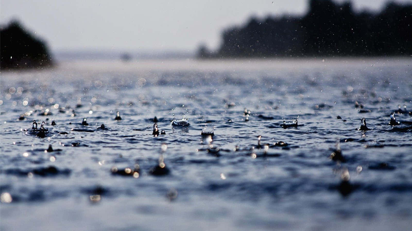 Rainy 桌布 壁紙 — 雨滴在平靜的藍色湖面上濺起水花，遠處有森林覆蓋的湖岸，柔和日光下。