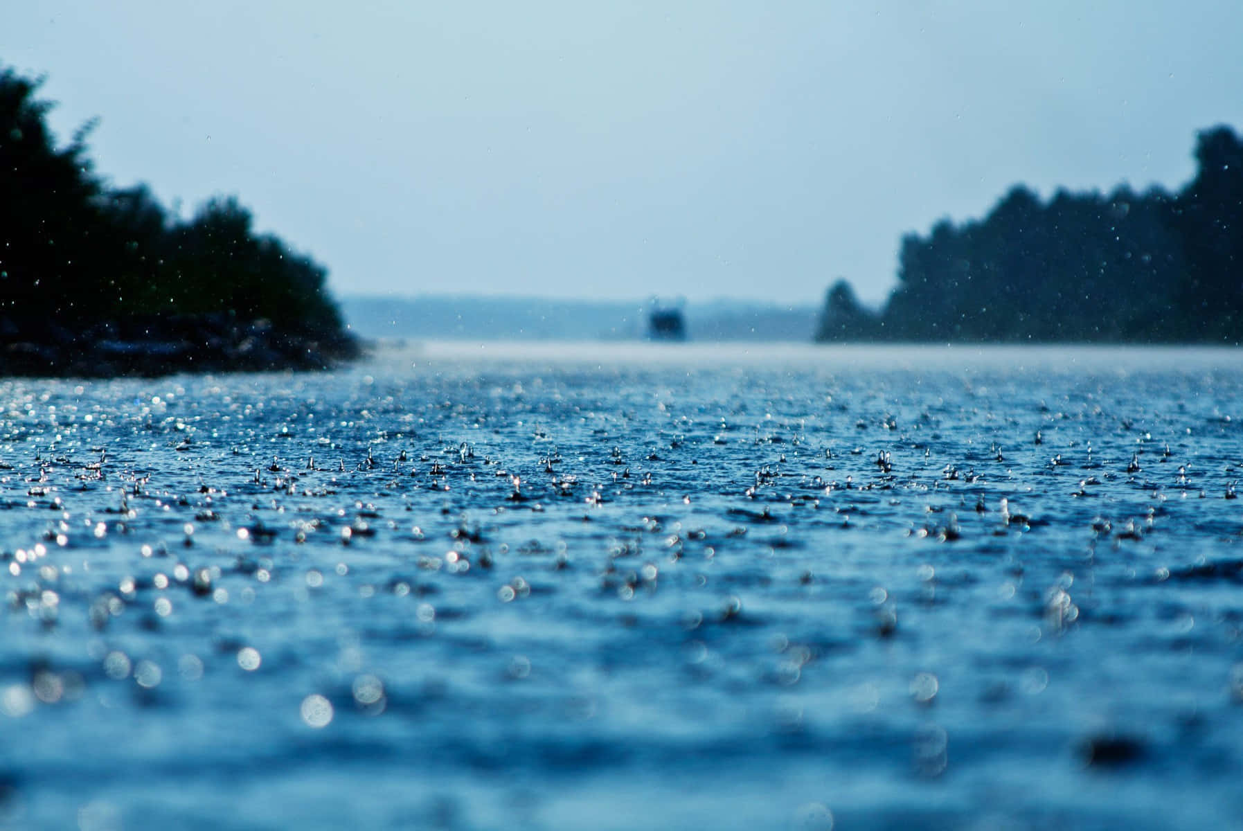 Sea 桌布 壁紙 — 雨滴在平靜的藍色湖面上閃爍，遠處有樹木成蔭的湖岸，天空朦朧。