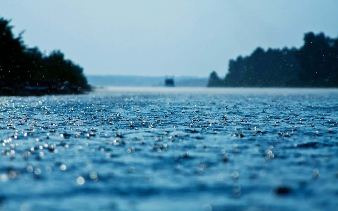 Rain Desktop 桌布 壁紙 — 雨滴在朦朧天空下，在平靜的藍色湖面上泛起漣漪，遠處有樹木成蔭的湖岸。