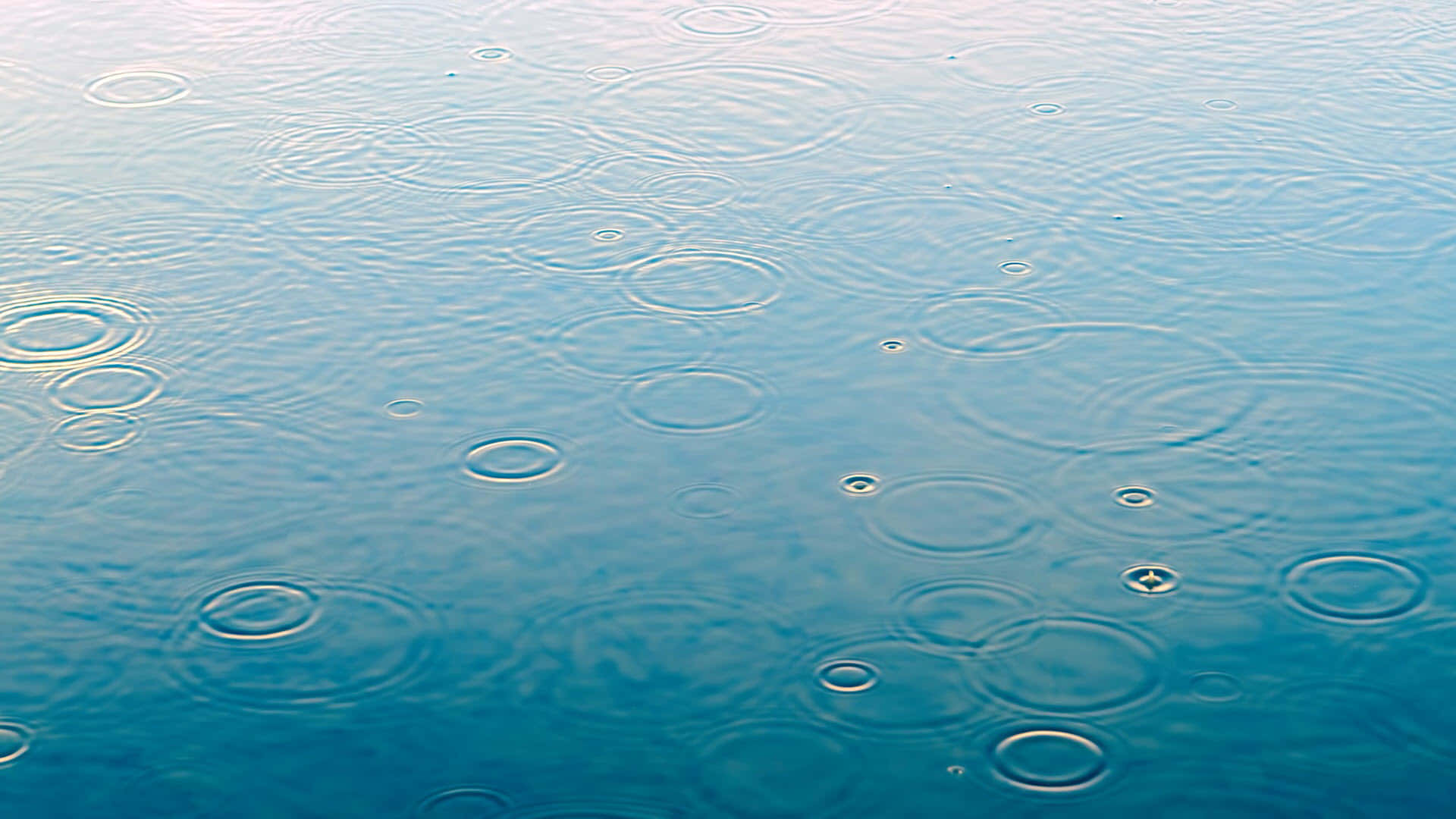 下雨 桌布 壁紙 — 雨滴在柔和日光下，於平靜的藍色水面上形成溫柔的同心漣漪。