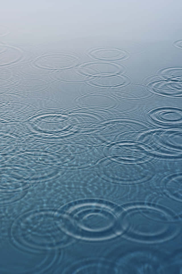 iOS 4 桌布 壁紙 — 雨滴在柔和漫射光下，於平靜的藍灰色水面上形成同心漣漪。