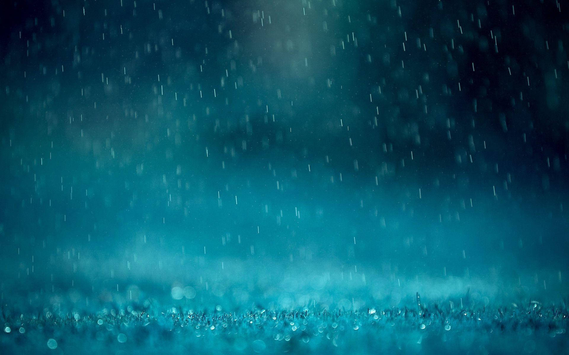 夜間雨落在草地上，背景有發光的散景燈光。 — 下雨 GIF 壁紙