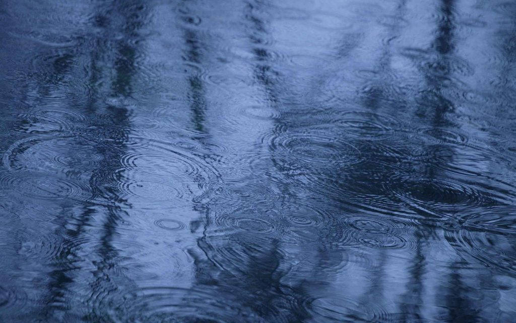 深藍色水面上的雨漣漪，反射樹影。
