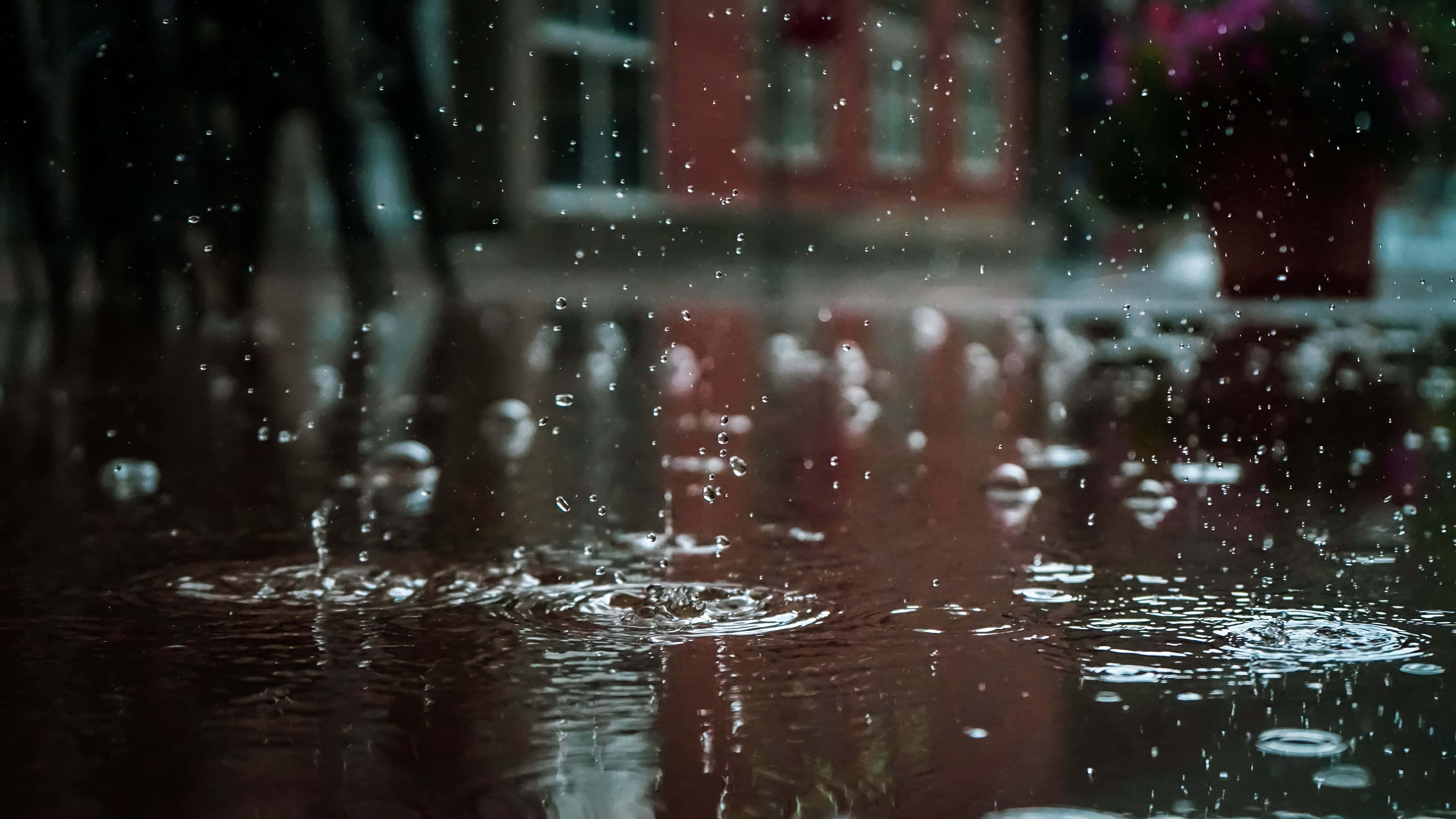 Rain 4K 桌布 壁紙 — 雨滴在濕漉漉的路面上濺起漣漪，映照出模糊的城市建築和花朵。