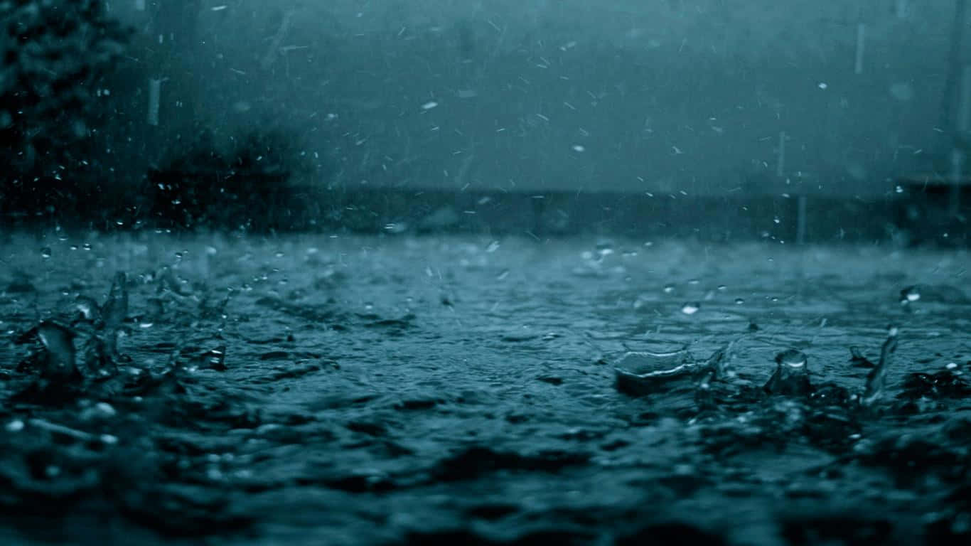 Rainy 桌布 壁紙 — 雨滴在陰沉的藍綠色天空下，在模糊的背景樹木中戲劇性地濺落在潮濕的表面上。