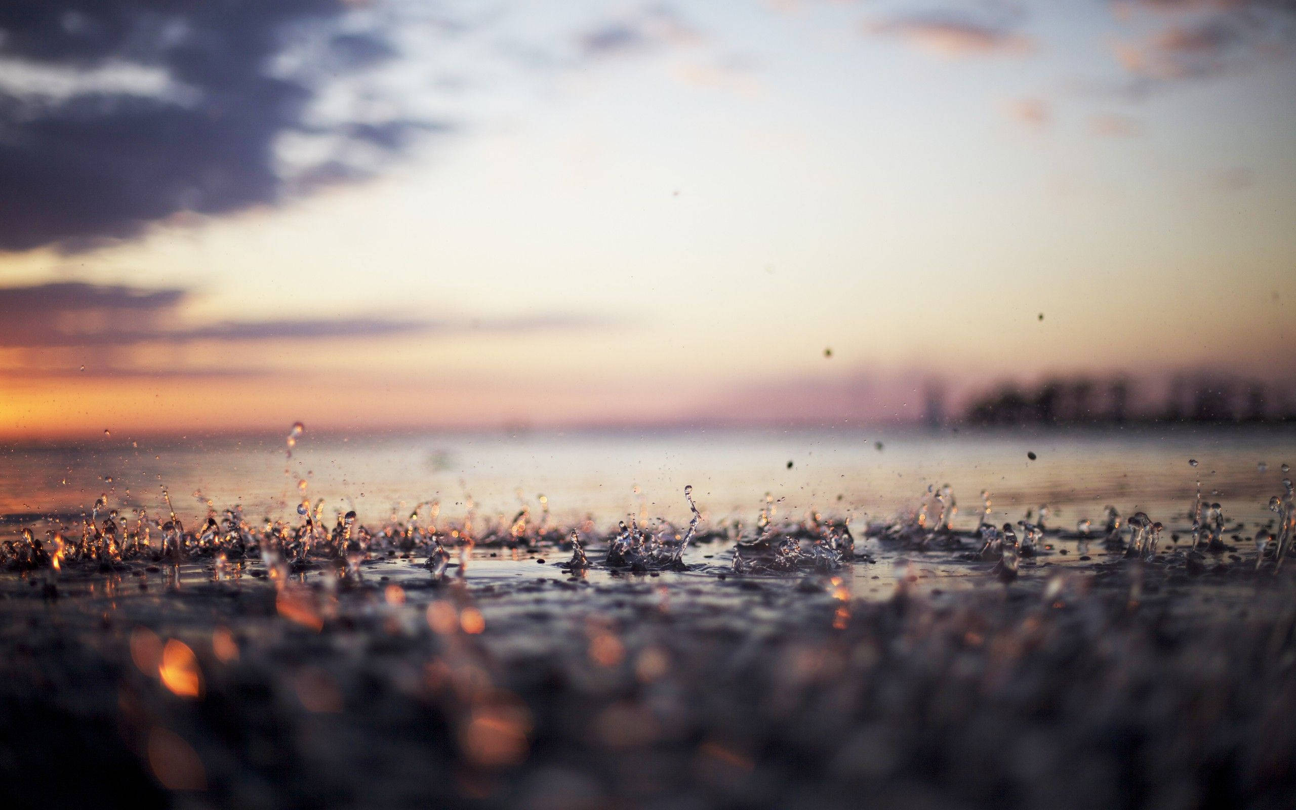 Best 桌布 壁紙 — 雨滴戲劇性地濺在濕地上，柔和的夕陽以溫暖的橙色和紫色調塗抹天空。