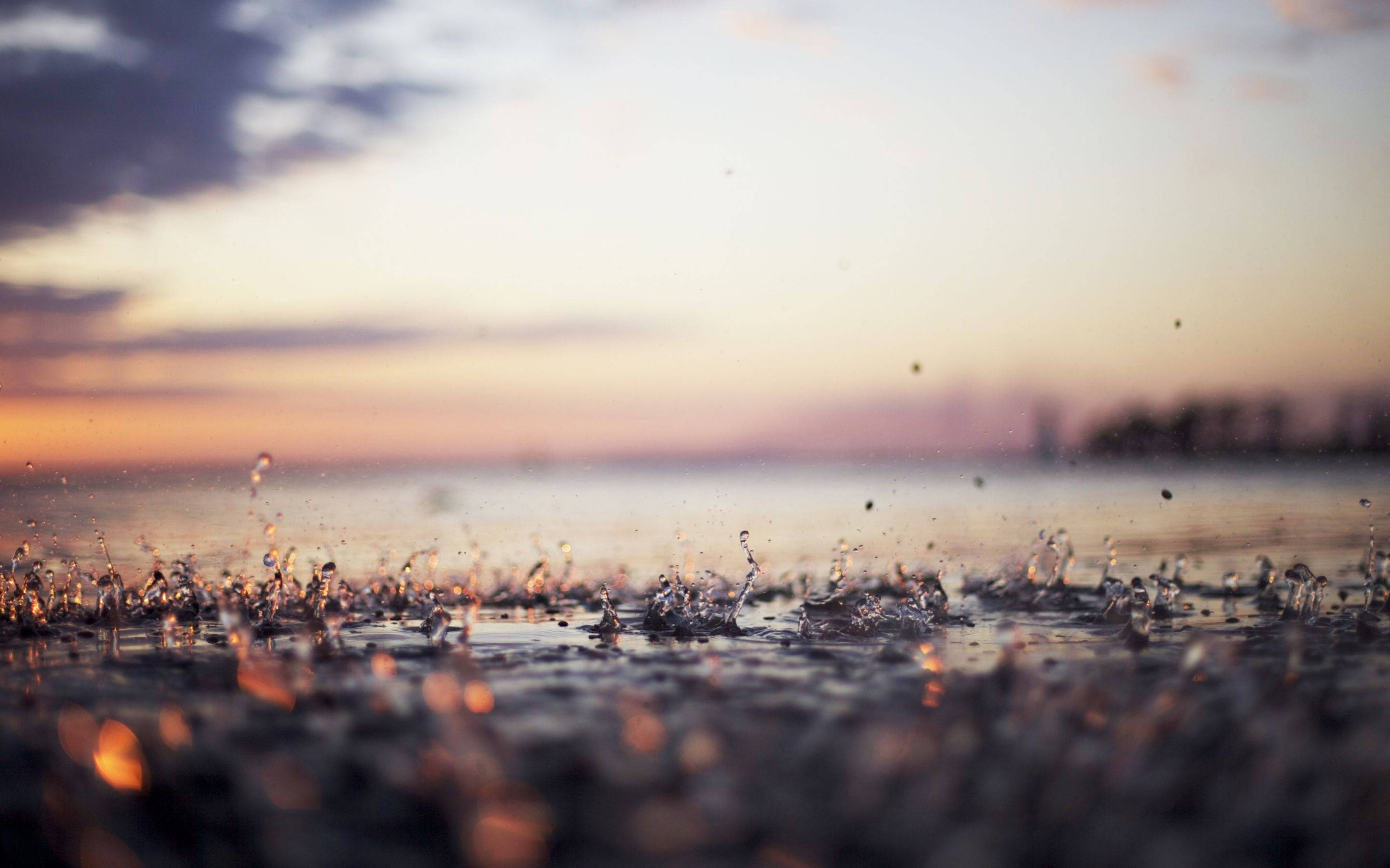 Raining 桌布 壁紙 — 雨滴戲劇性地濺在濕地上，背景是柔和的日落天空，帶有溫暖的橙色和紫色色調。