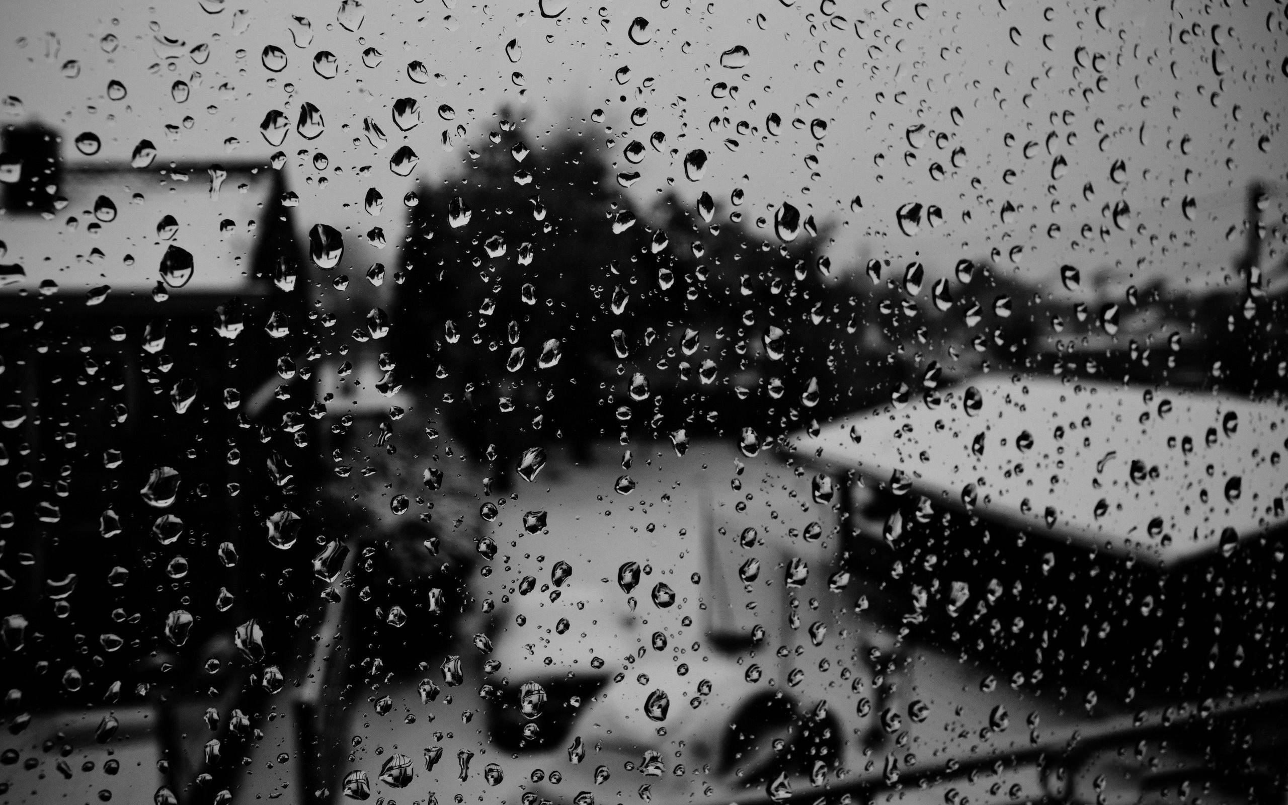 Rainy Day 桌布 壁紙 — 雨滴模糊了透過窗戶看到的屋頂和樹木的單色景色。