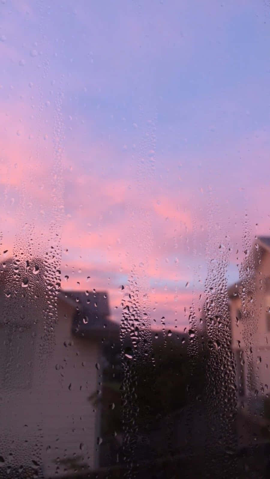 window 桌布 壁紙 — 雨滴沿窗戶流下，柔和的粉紅和紫色日落，在模糊的屋頂後面塗抹天空。