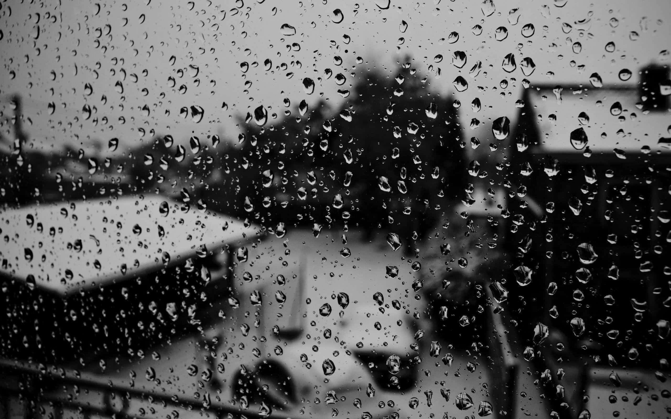 Rain Drops 桌布 壁紙 — 雨滴沿窗戶流下，顯露出模糊的屋頂和樹木，呈現單色調。