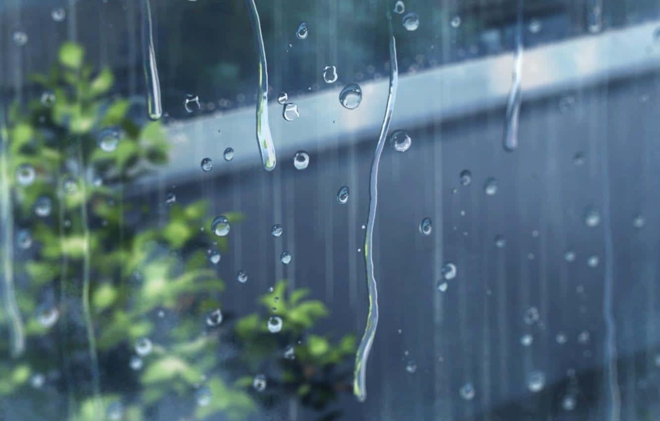 Rain Anime 桌布 壁紙 — 雨滴沿著玻璃窗流下，透過潮濕的表面可以看到模糊的綠色樹葉。