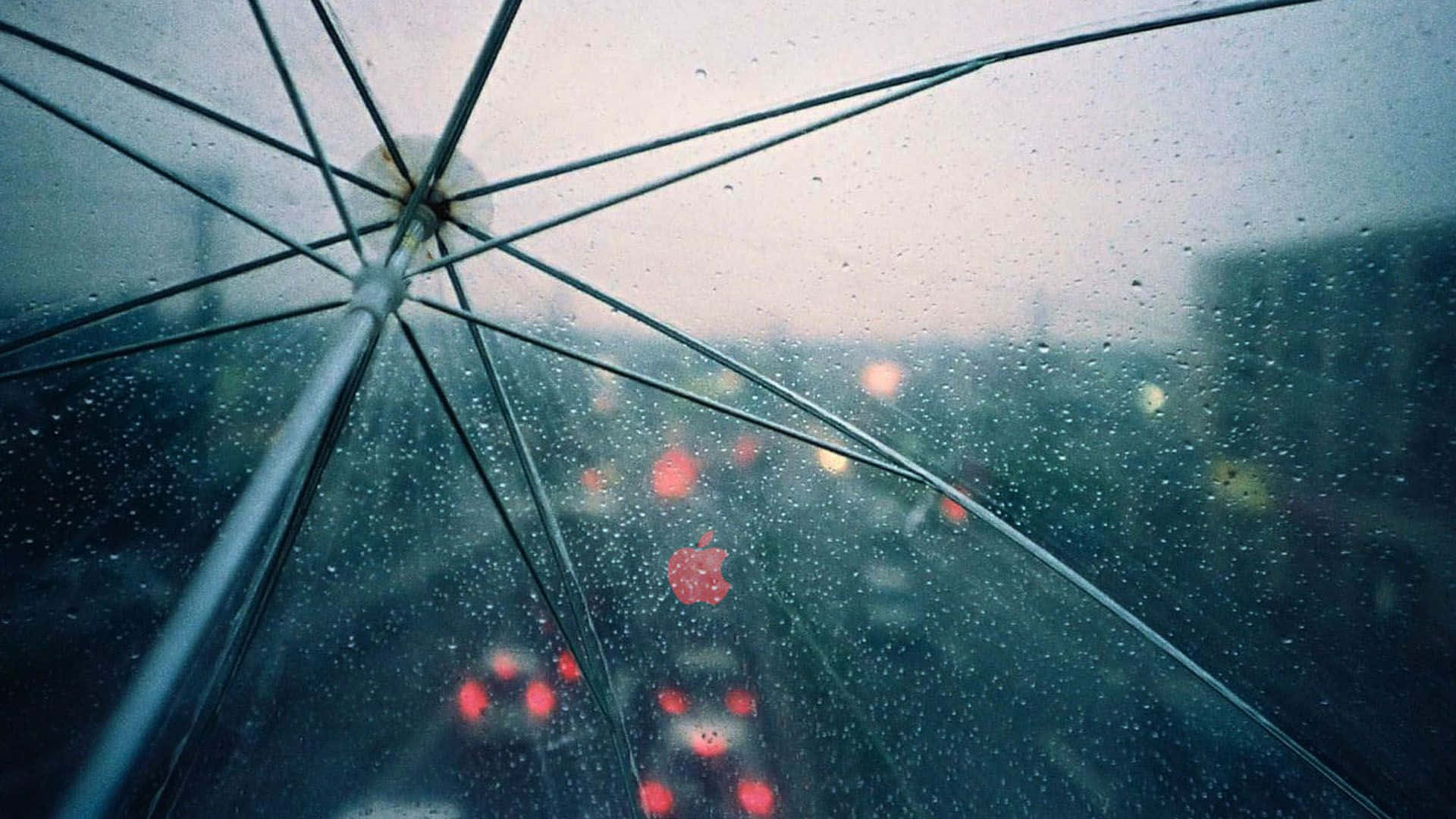 Aesthetic Rain 桌布 壁紙 — 雨滴沿透明傘篷流下，模糊的城市燈光透過濕布發光。