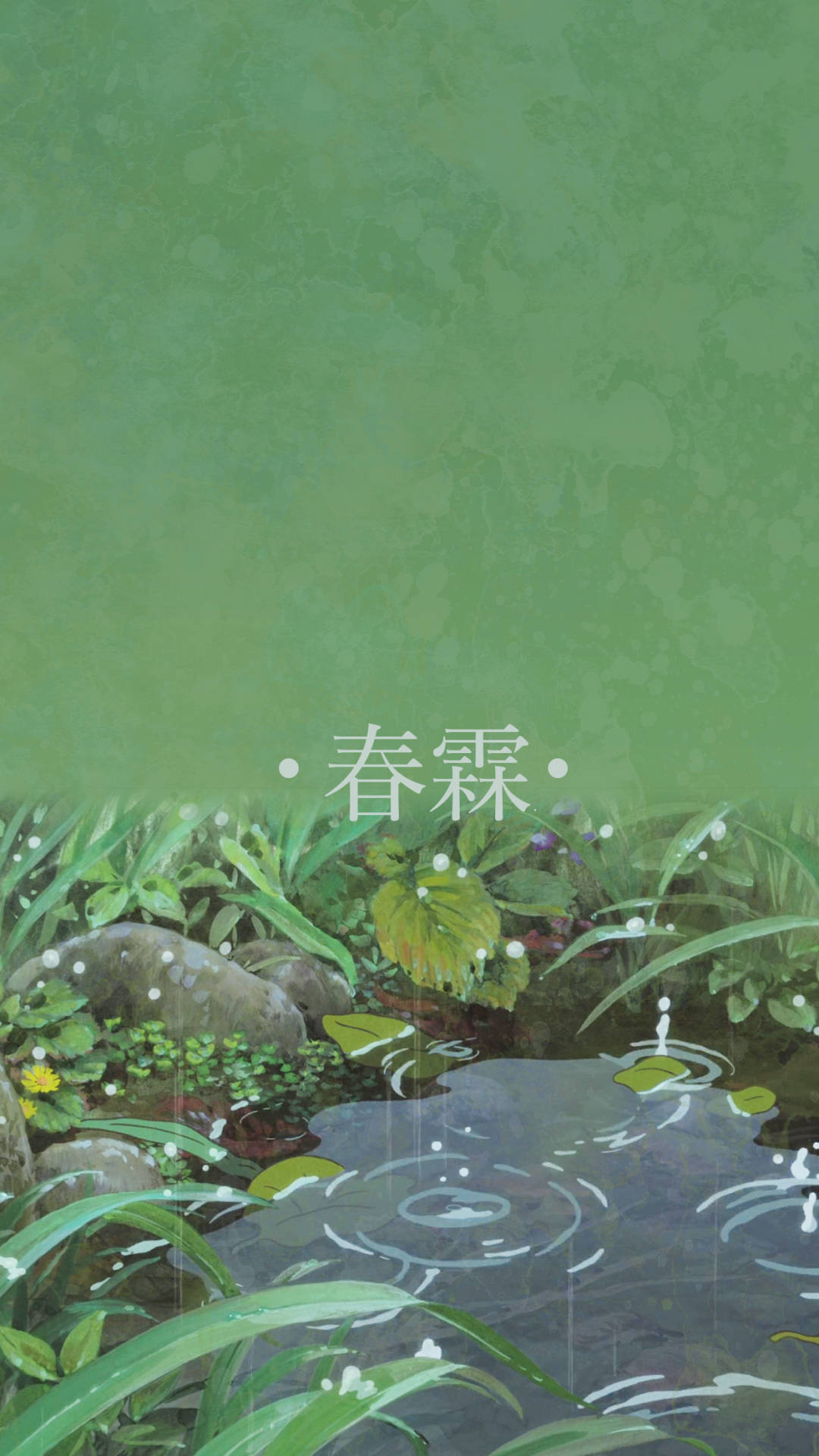 雨滴落入一個被綠色植物和石頭環繞的池塘。 — 下雨 GIF 壁紙