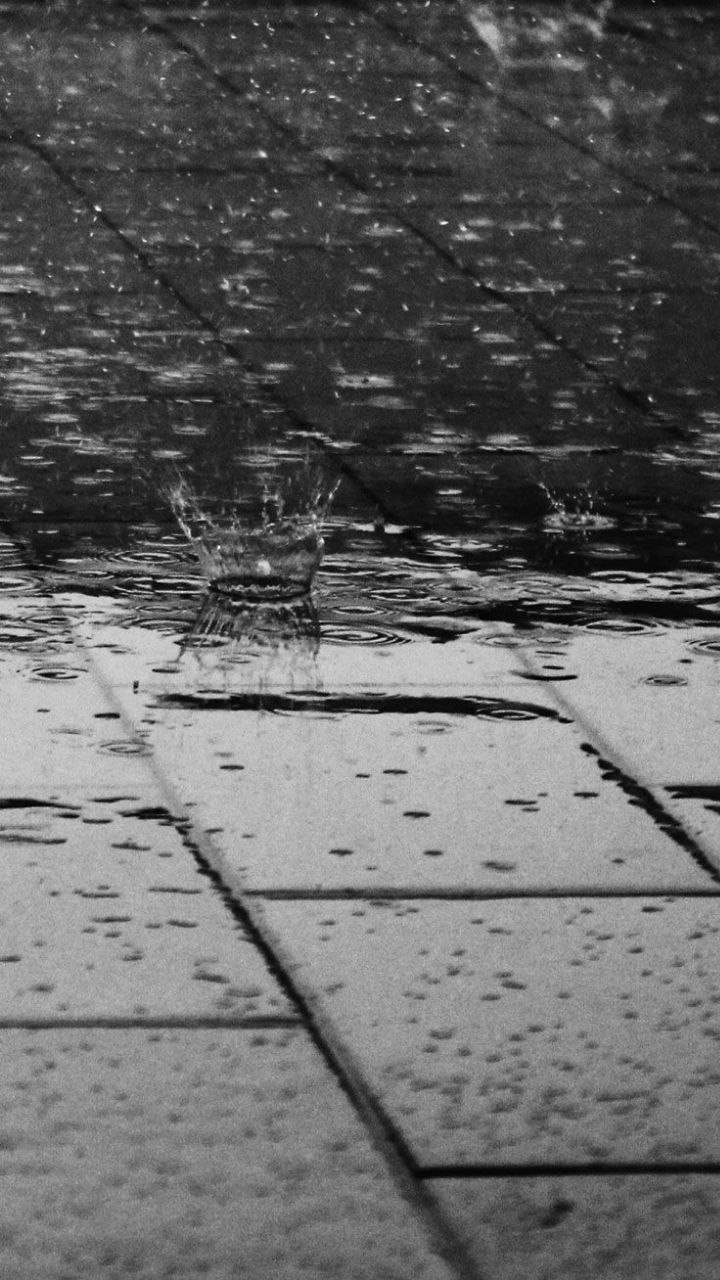 黑白 桌布 壁紙 — 雨滴濺落在濕漉漉的人行道磚上，形成單色調的漣漪和水滴。