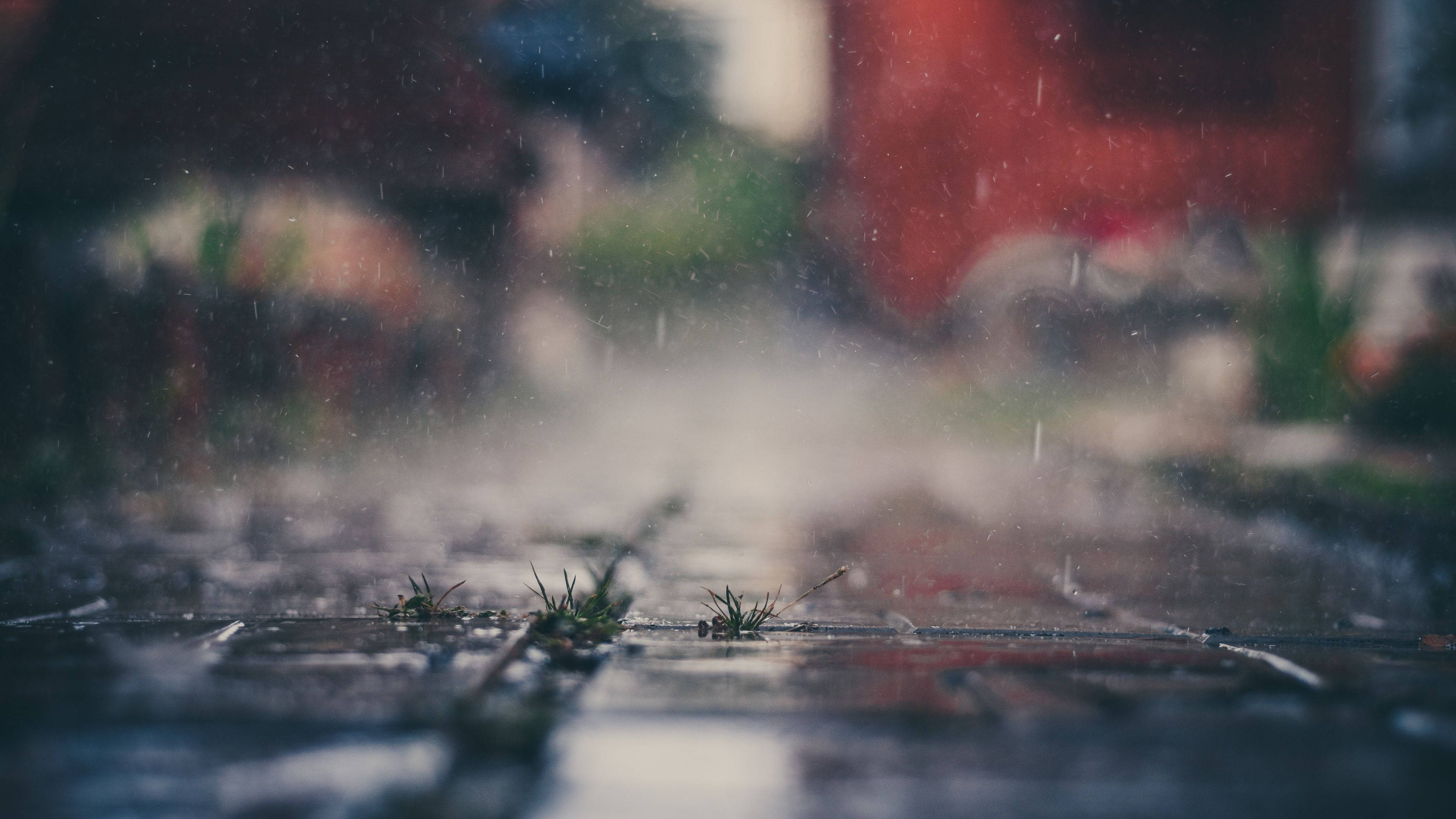Rainy Day 桌布 壁紙 — 雨滴落在濕漉漉的鵝卵石上，細小的草芽在柔焦中從裂縫中擠出。