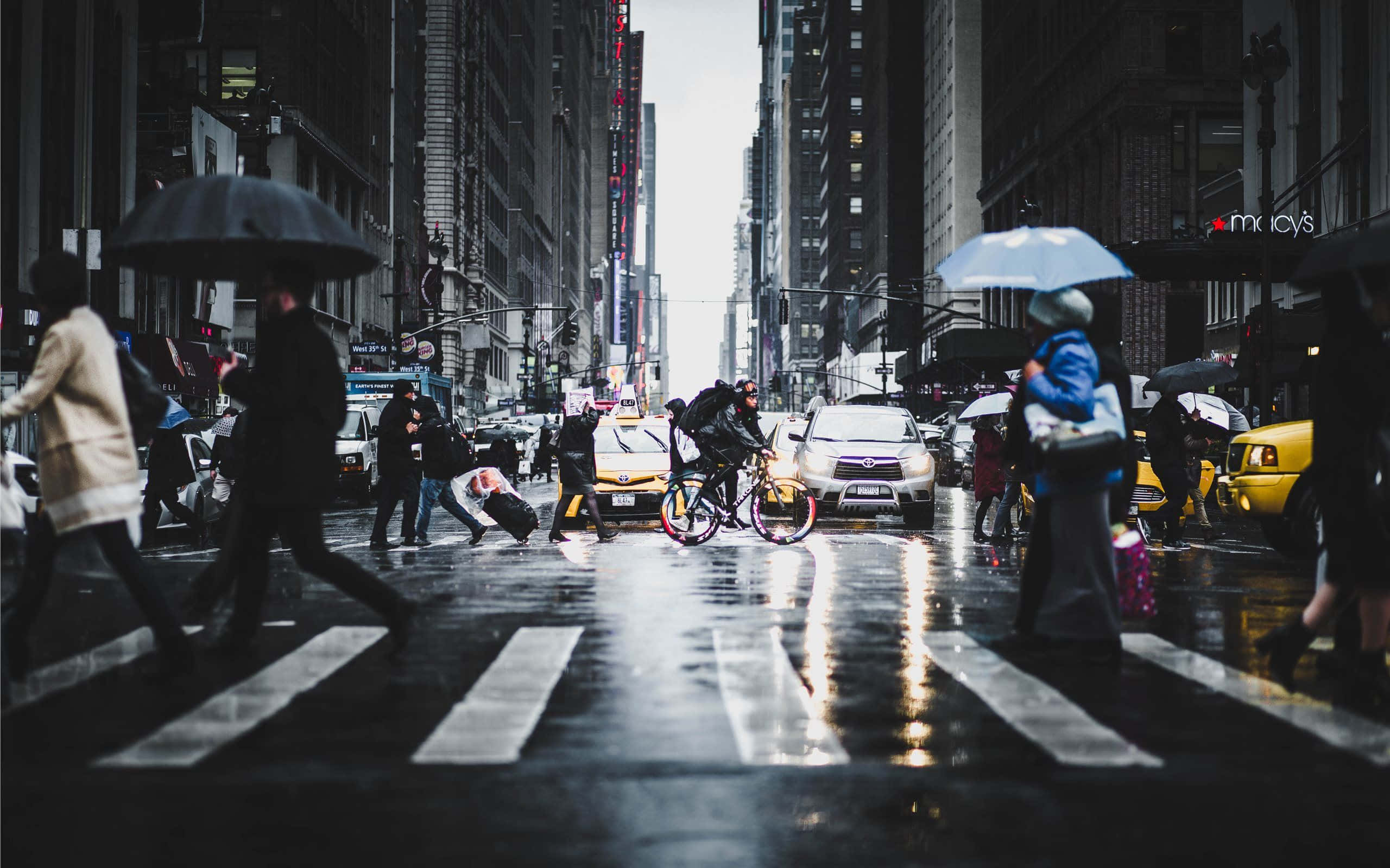 人物 桌布 壁紙 — 雨濕的城市街道，擠滿了撐傘的行人和在摩天大樓之間穿越濕漉漉斑馬線的騎單車者。