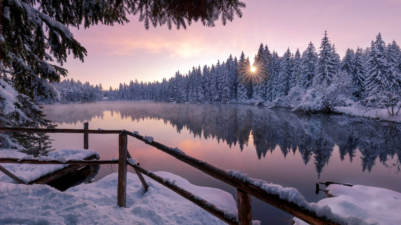 桌布 壁紙 — 雪地冬日日出，平靜的湖面上有松樹和木柵欄在前景。