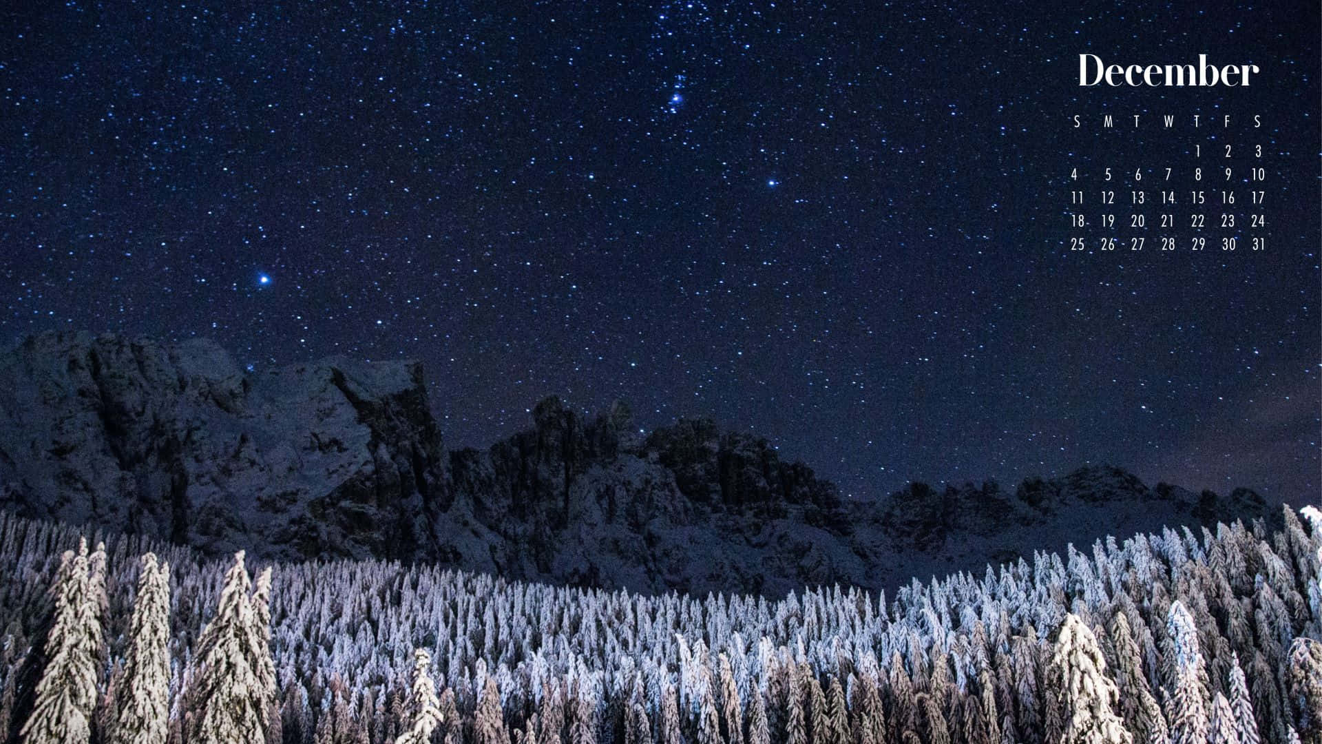 十二月 桌布 壁紙 — 雪松林在星空下，疊加十二月日曆。