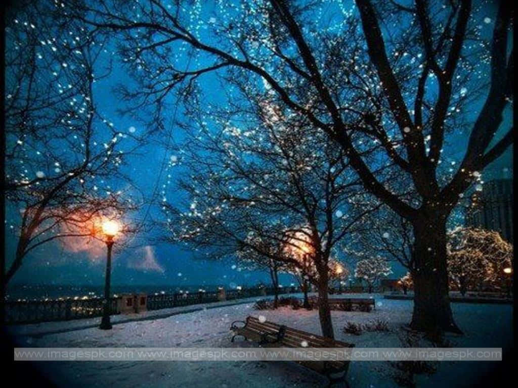 Winter Night Desktop 桌布 壁紙 — 雪花在冬夜飄落，光禿禿的樹木閃爍著燈串，溫暖的路燈照亮了積雪的公園長椅。
