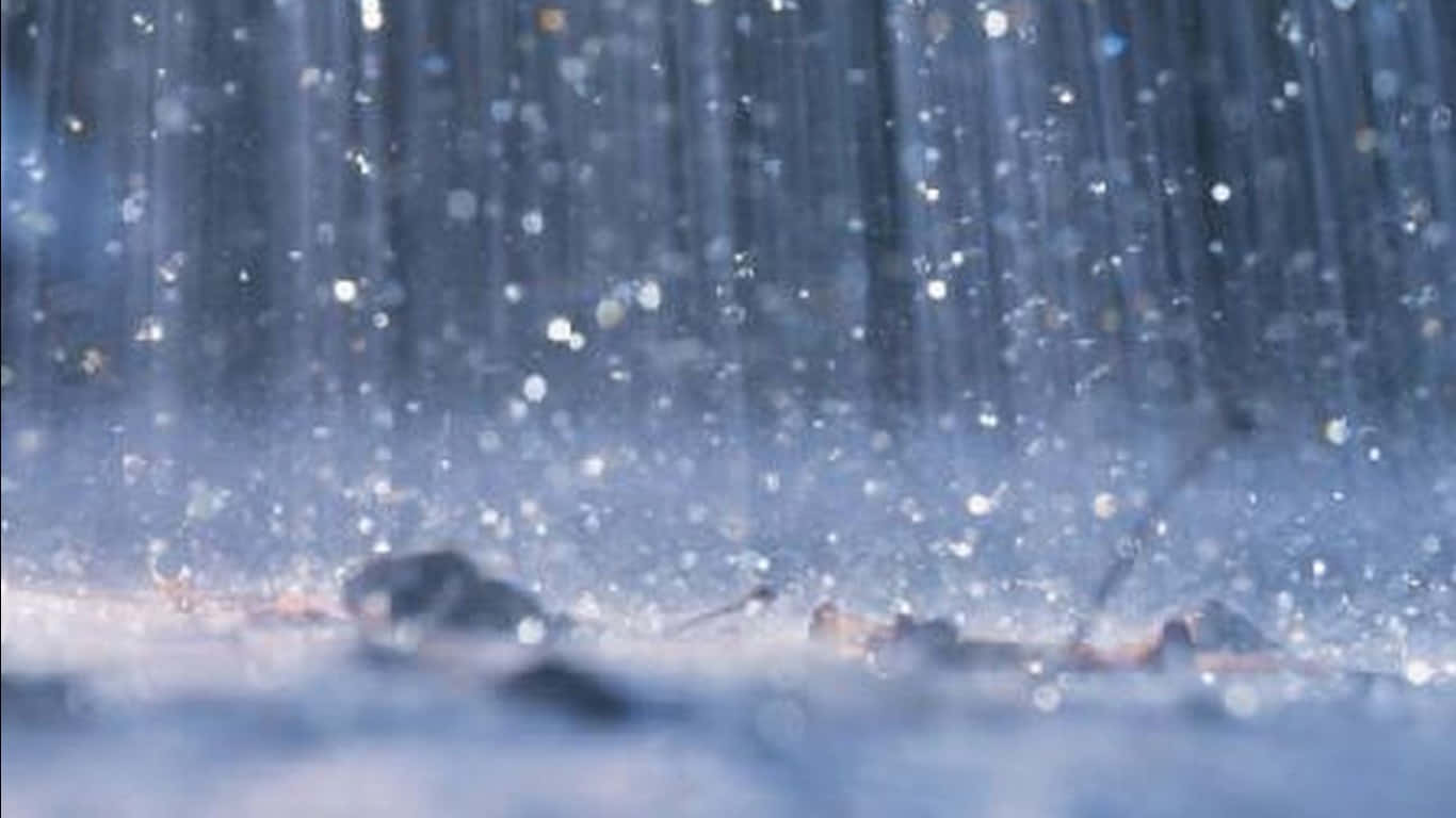 下雨 桌布 壁紙 — 雪花在冬日森林中輕輕飄落，樹幹模糊，地面結霜，呈現冷藍色調。