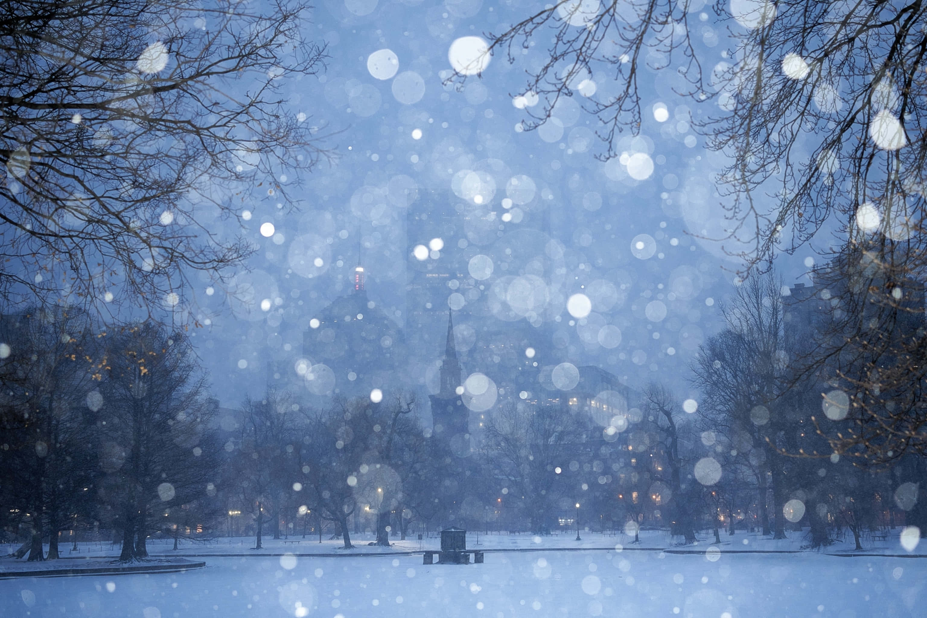 Snowing 桌布 壁紙 — 雪花在冰冷的藍色暮色中飄過一個寧靜的雪覆蓋公園，有光禿禿的樹木和遠處的城市燈光。