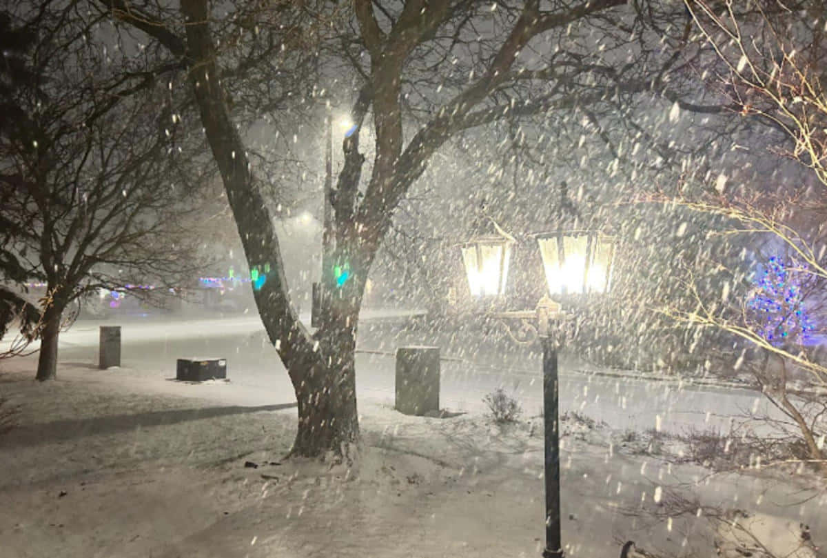 雪 桌布 壁紙 — 雪花在復古街燈的光芒中旋轉，照亮了夜晚寧靜的冬季公園。