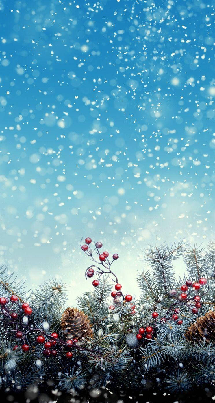 聖誕節 桌布 壁紙 — 雪花在明亮的藍天中飄動，上方是裝飾著紅色漿果和松果的節日常青樹枝。