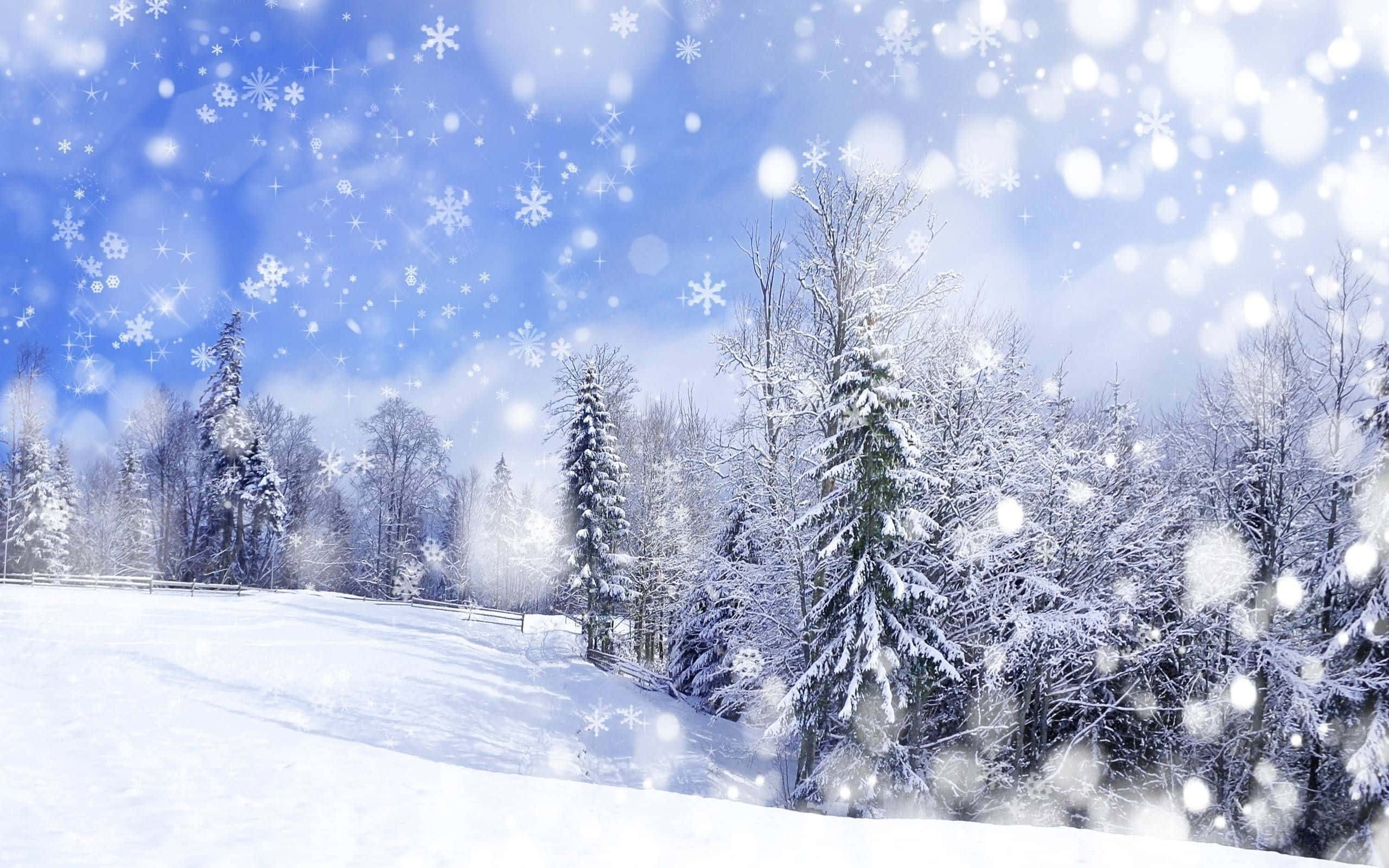 Winter Forest 桌布 壁紙 — 雪花在明亮的藍天中飄蕩，在寧靜的雪林上方，常青樹被白雪覆蓋。