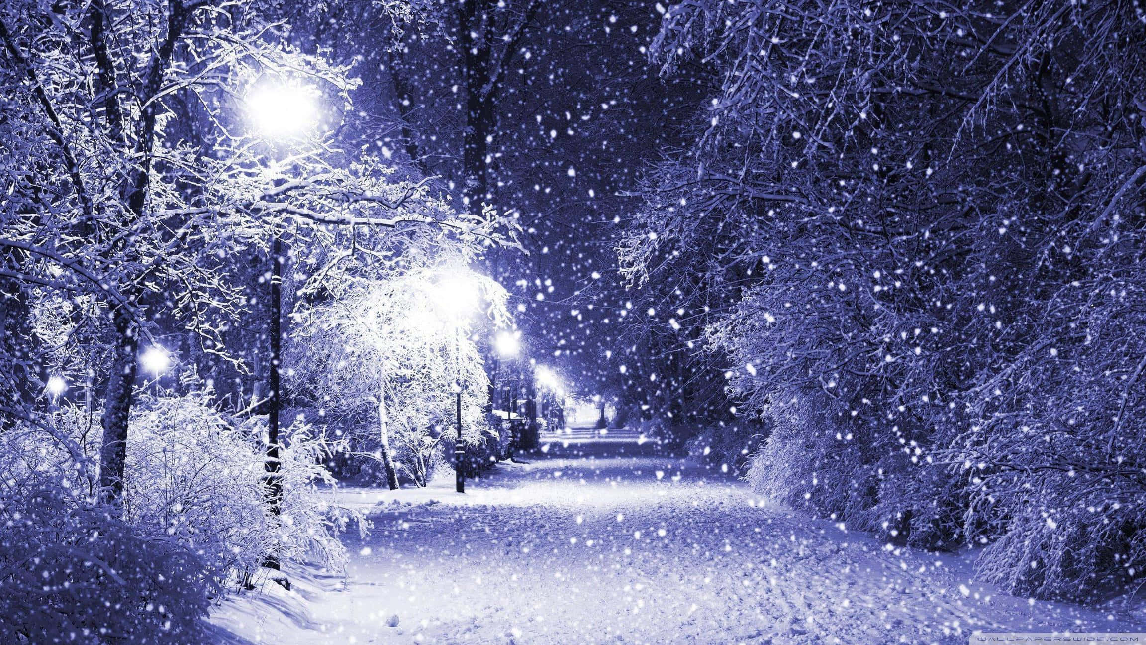 Christmas Winter Wonderland 桌布 壁紙 — 雪花在月光下的冬季公園中飄蕩，發光的街燈照亮了結霜的樹木和一條安靜的小徑。