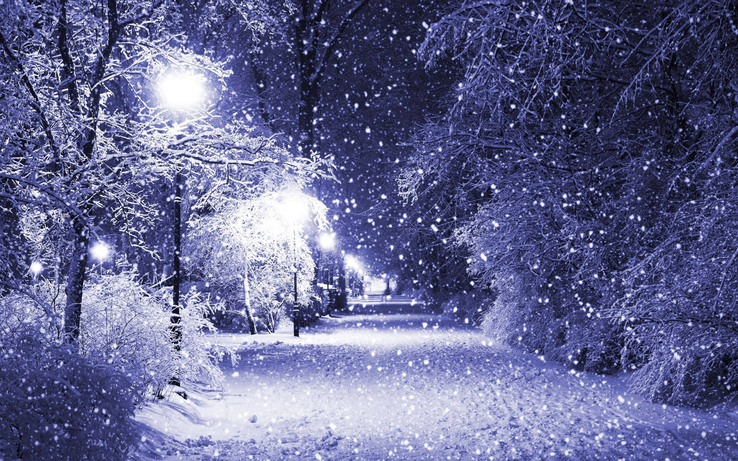 冬天 桌布 壁紙 — 雪花在月光下的冬季公園中飄蕩，街燈溫暖地照在結霜的樹木上。