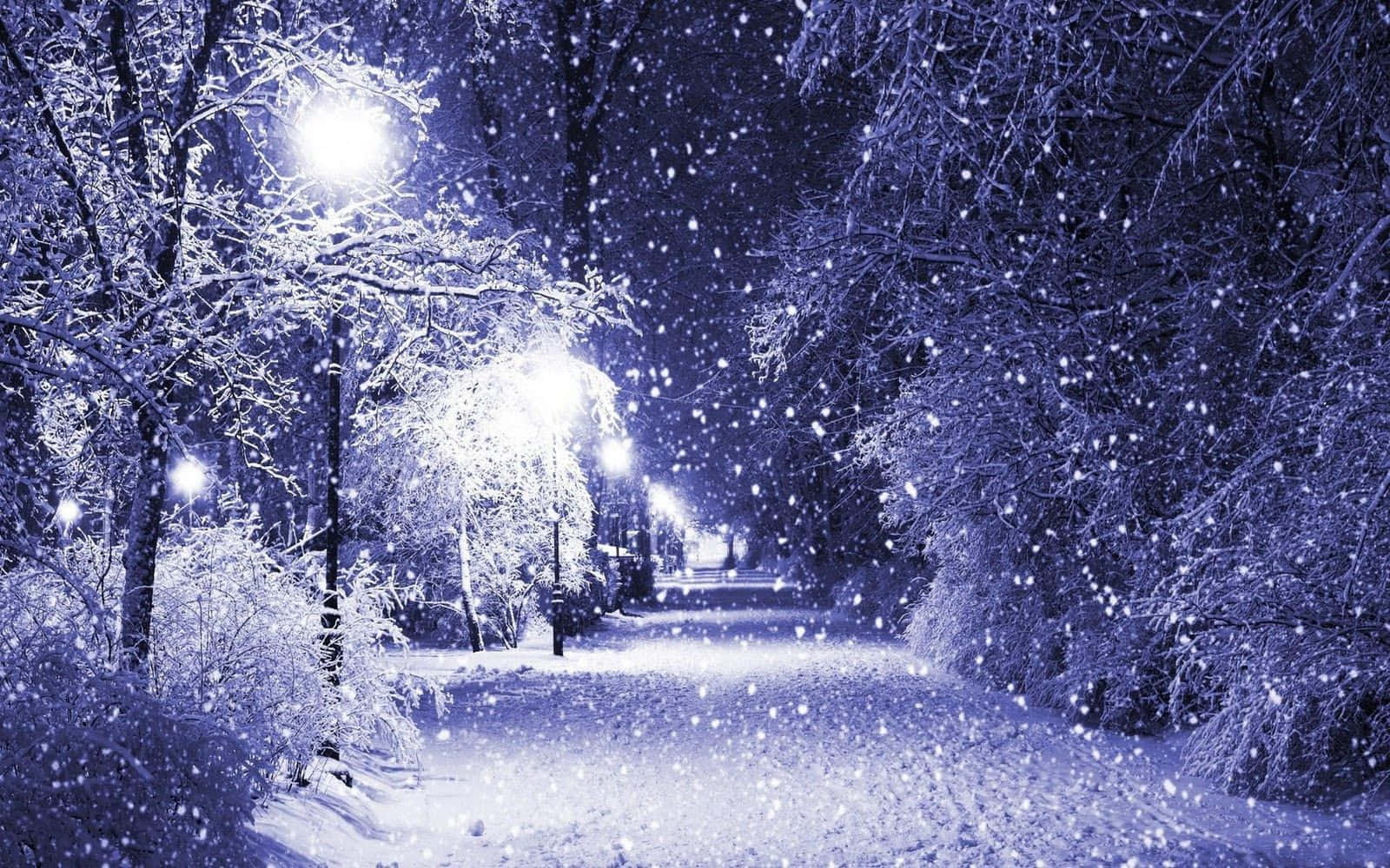 winter wonderland 桌布 壁紙 — 雪花在月光照耀的冬季公園中飄舞，發光的街燈照亮了結霜的樹木和一條寧靜的小徑。