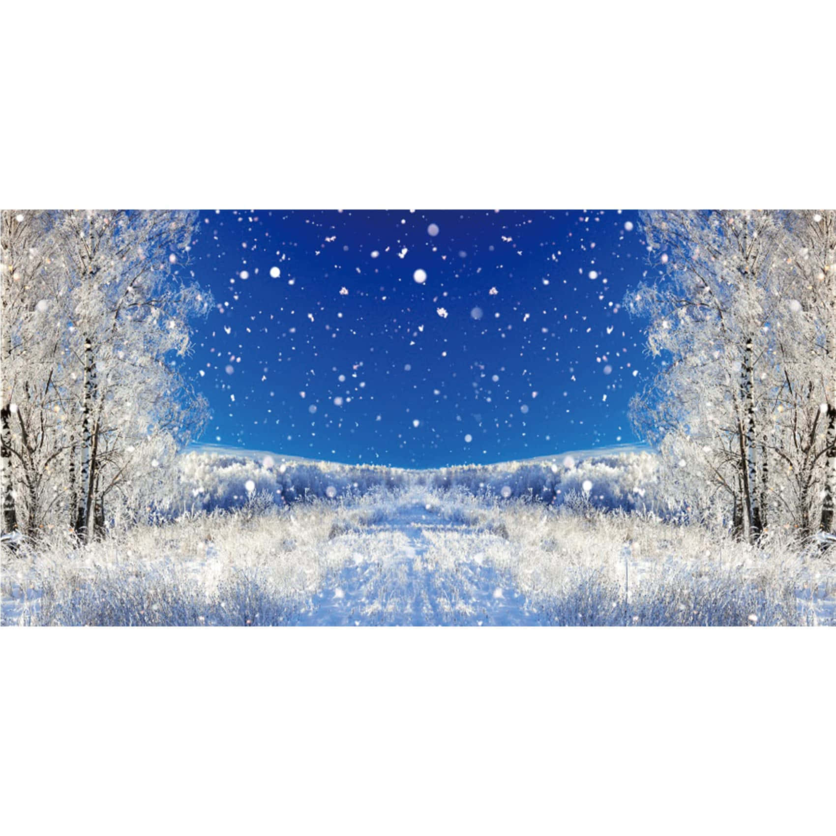 背景 桌布 壁紙 — 雪花在生動的藍天中飄蕩，下方是霜凍的田野，兩旁是積雪的白樺樹。