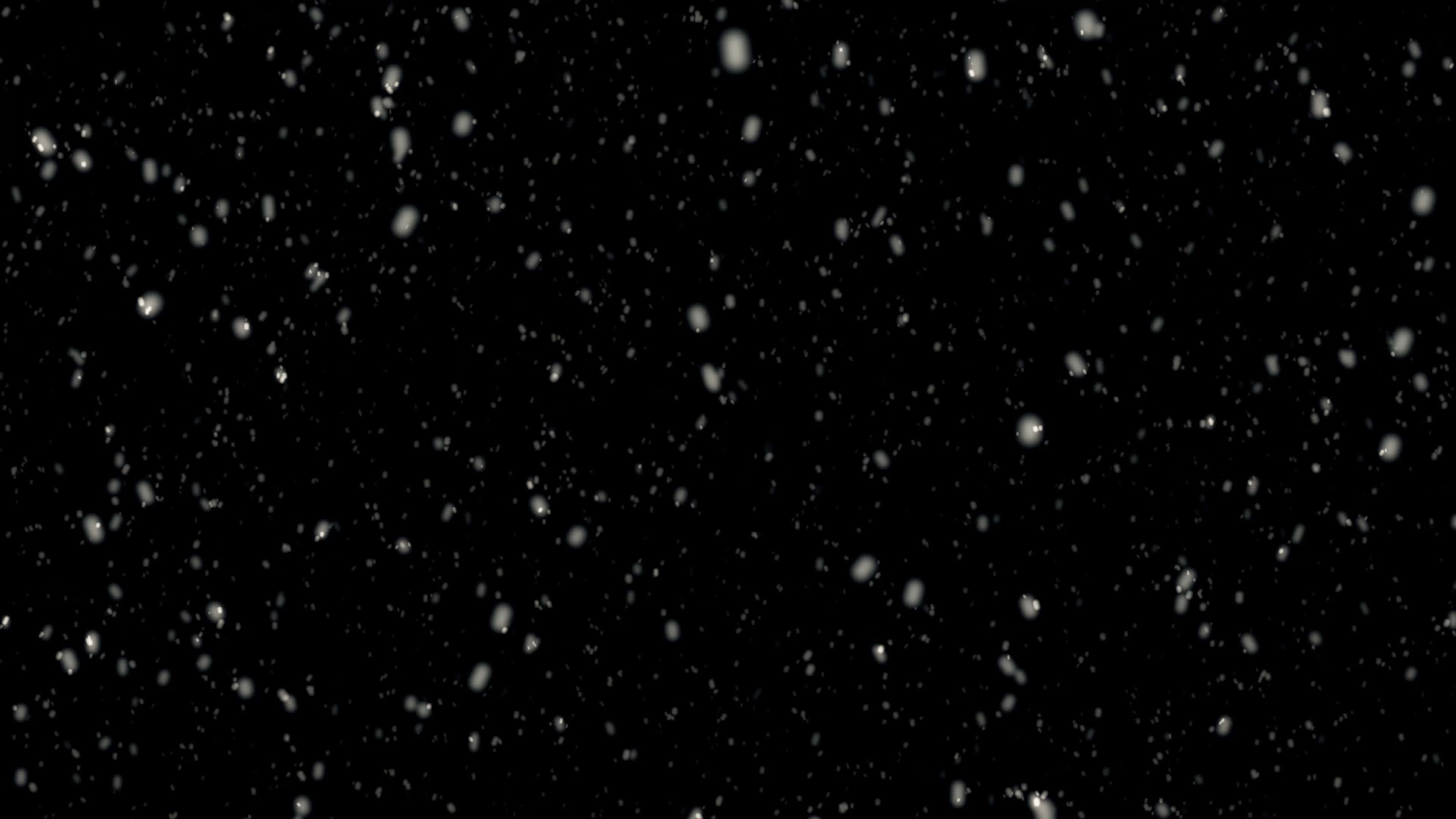 雪 桌布 壁紙 — 雪花在純黑色背景上輕輕飄落，營造出寧靜的冬日場景。